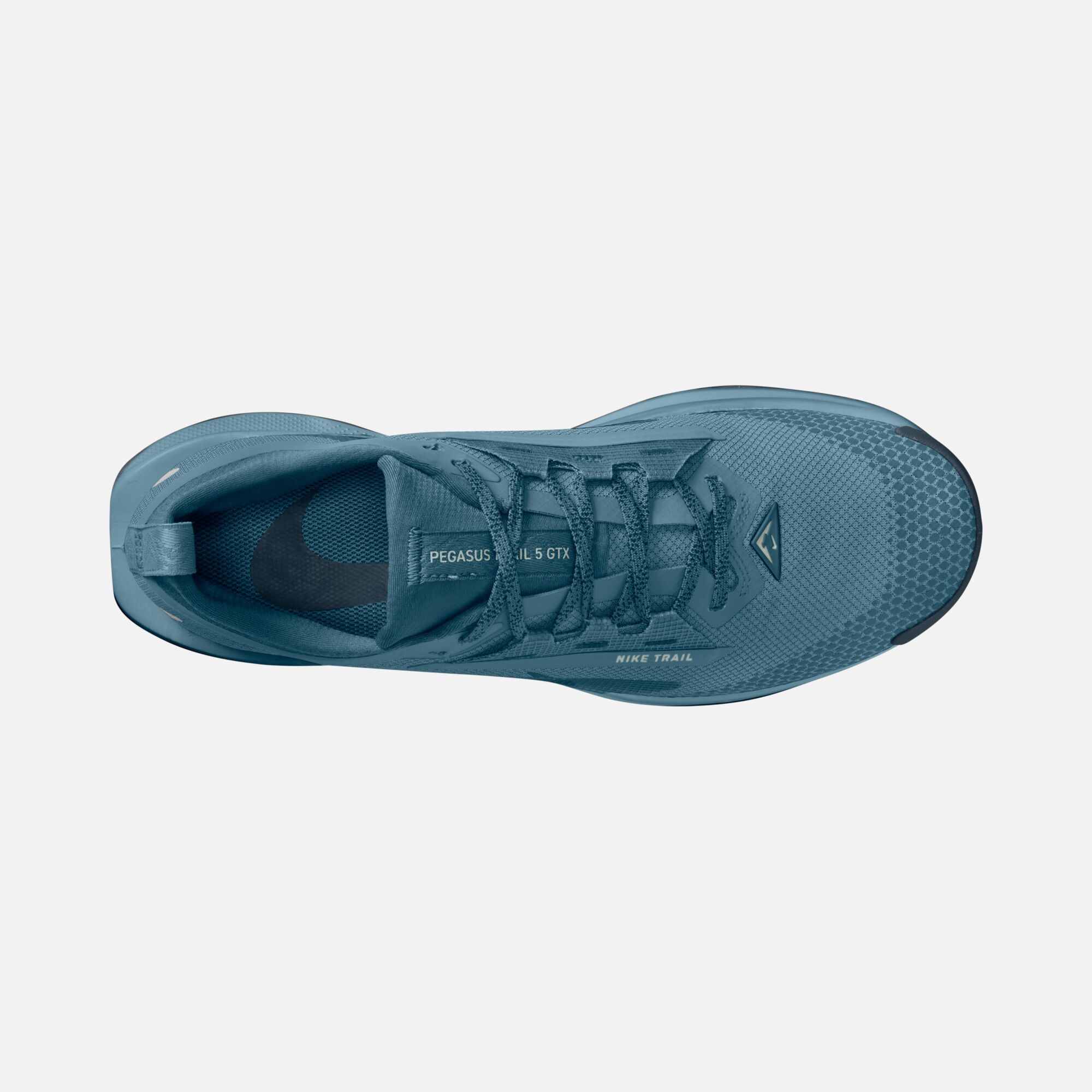 Nike Pegasus Trail 5 Gore-Tex Running Erkek Spor Ayakkabı