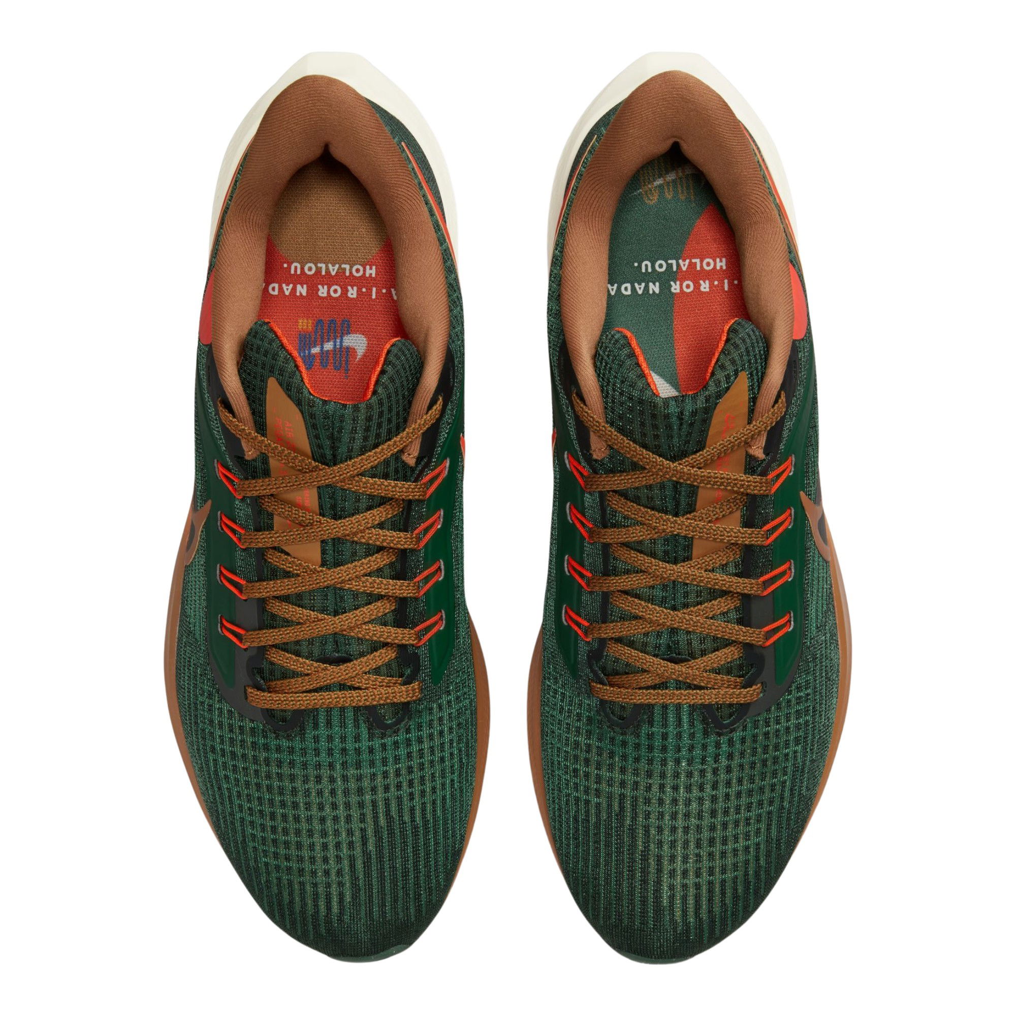 Nike Pegasus 39 A.I.R. Hola Lou Road Running Erkek Spor Ayakkabı