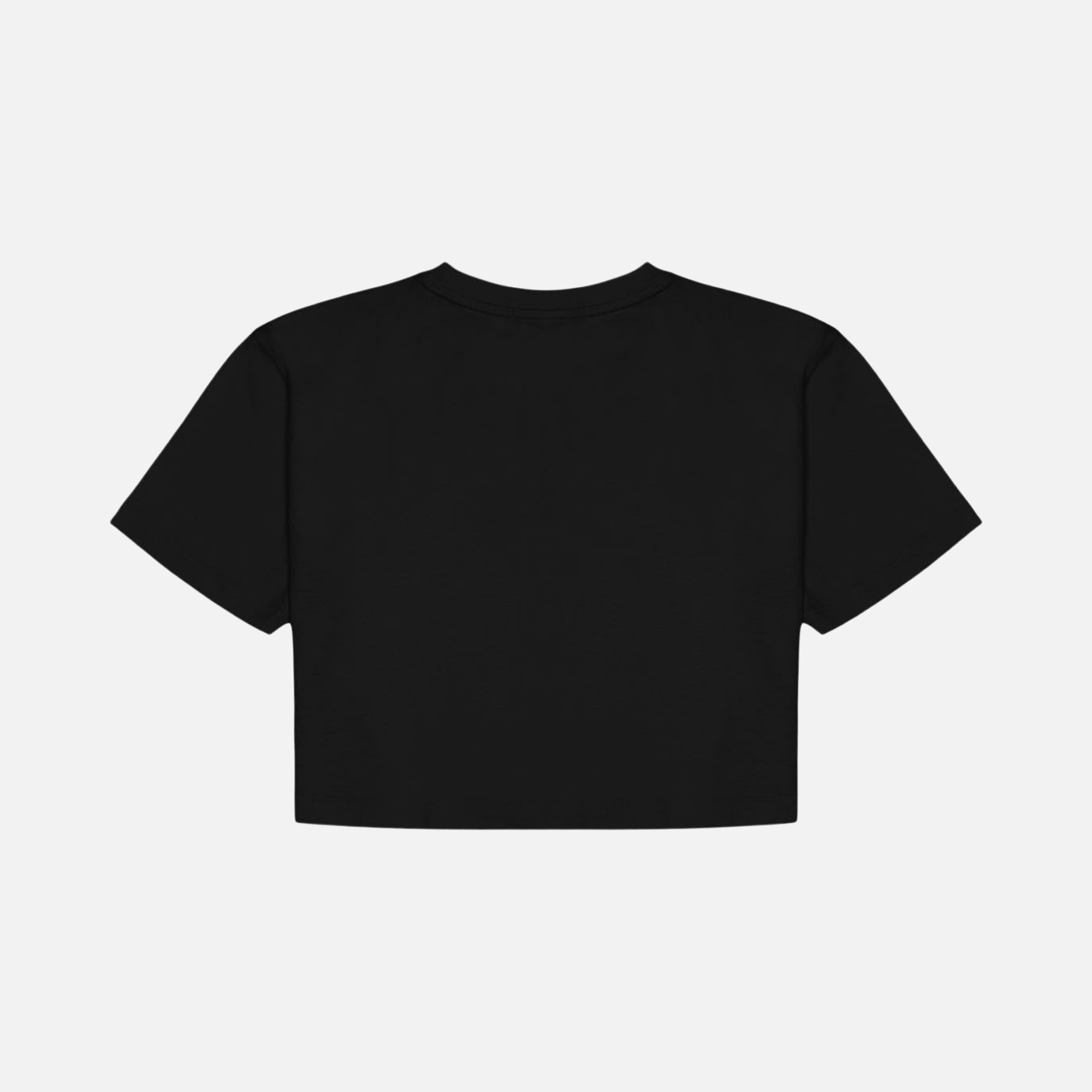 WWF Sportswear Yavru İmparator Penguen Embroidered Cropped Short-Sleeve Kadın Tişört