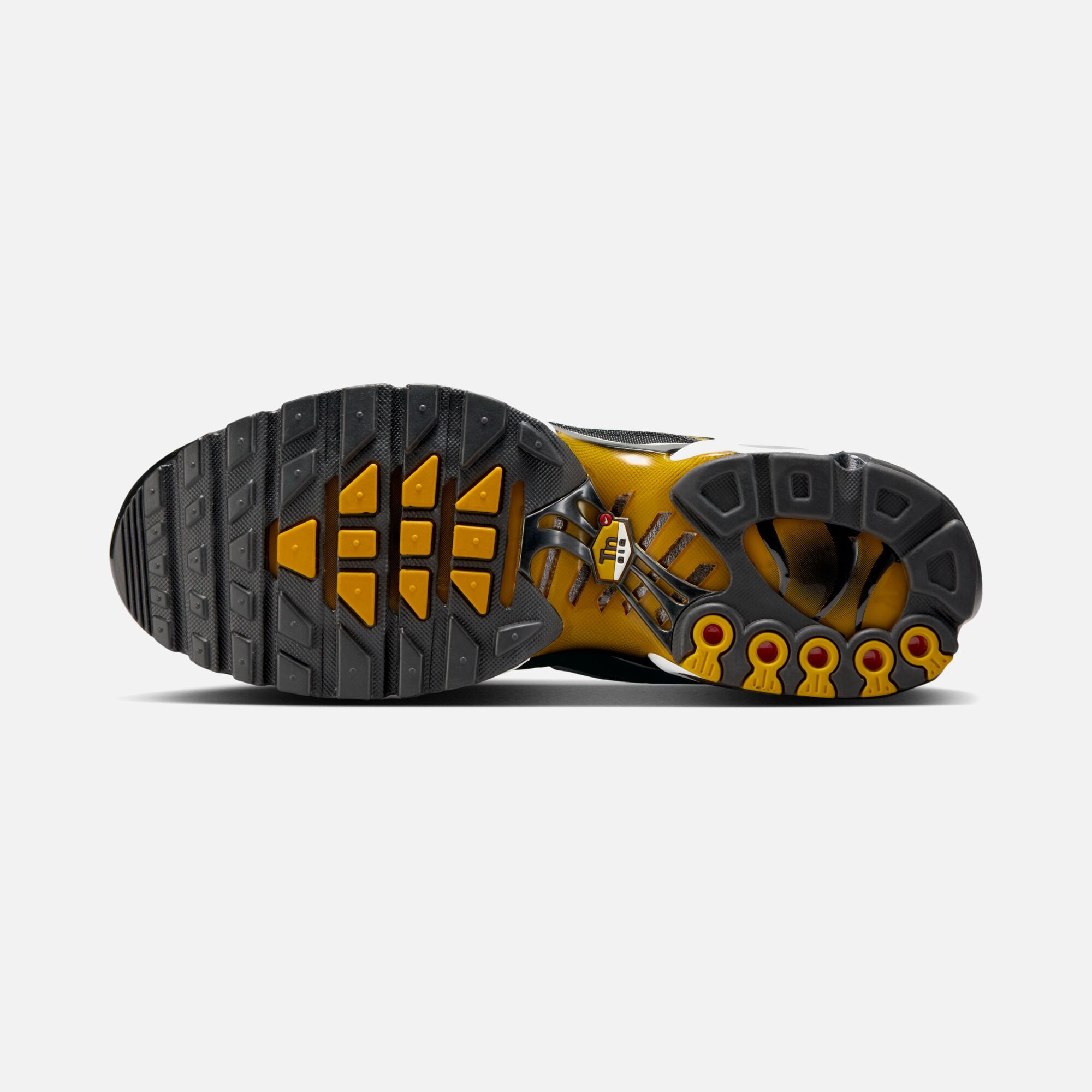 Nike Air Max Plus SS25 Erkek Spor Ayakkabı