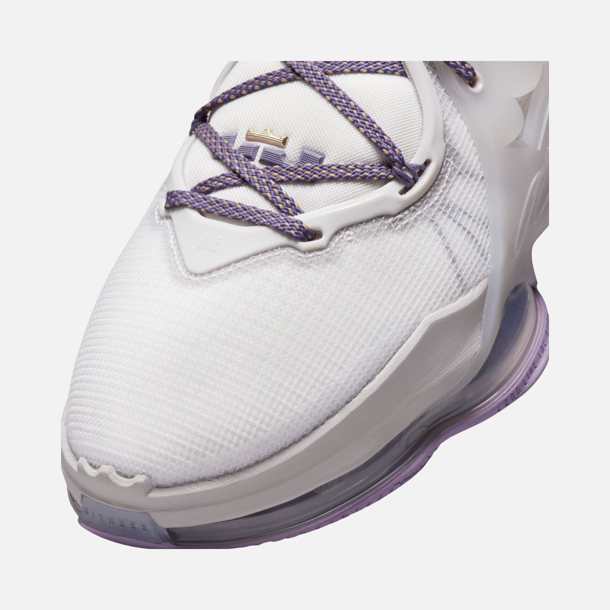 Nike LeBron James XIX CO Erkek Basketbol Ayakkabısı