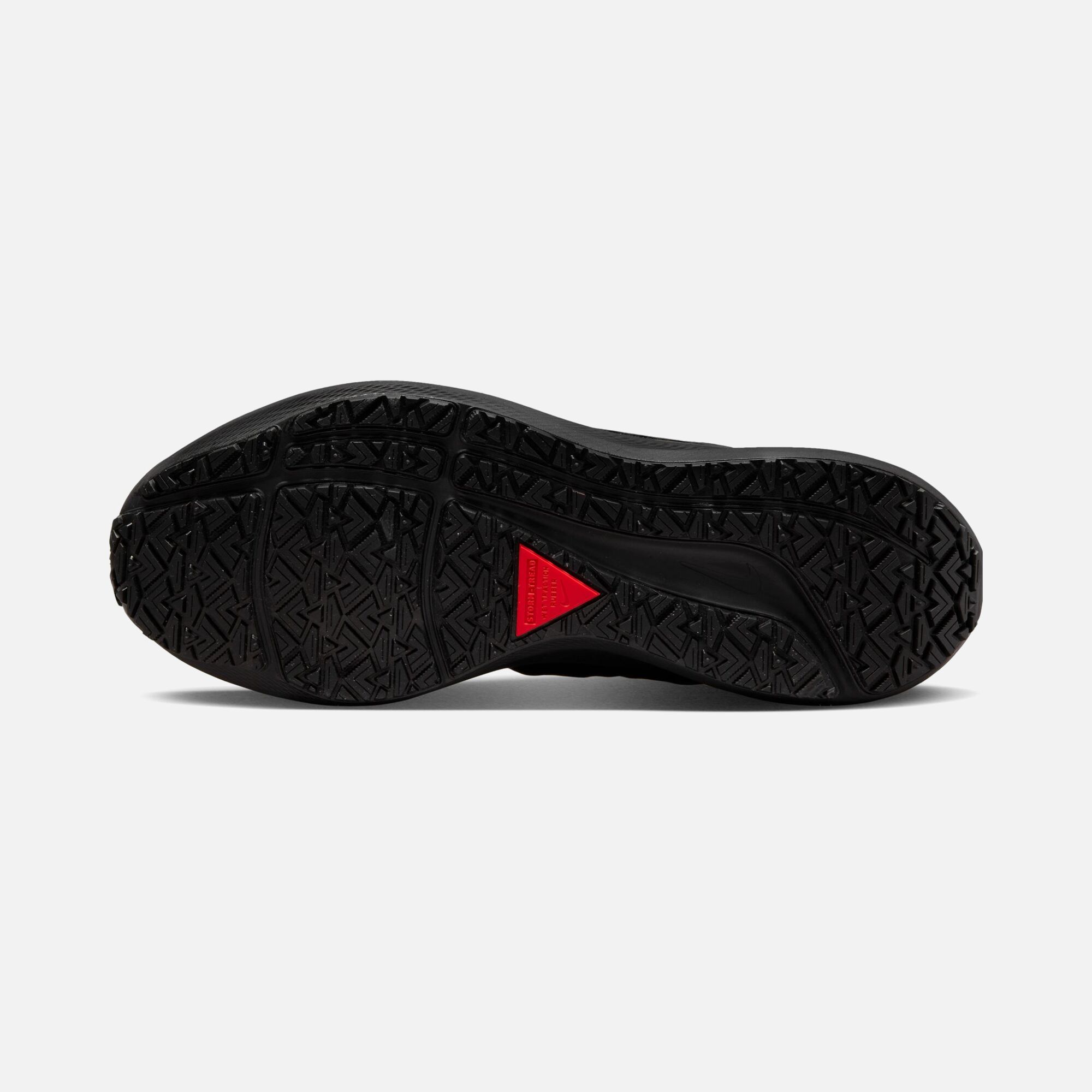 Nike Air Zoom Pegasus 39 Shield Weatherised Road Running Kadın Spor Ayakkabı