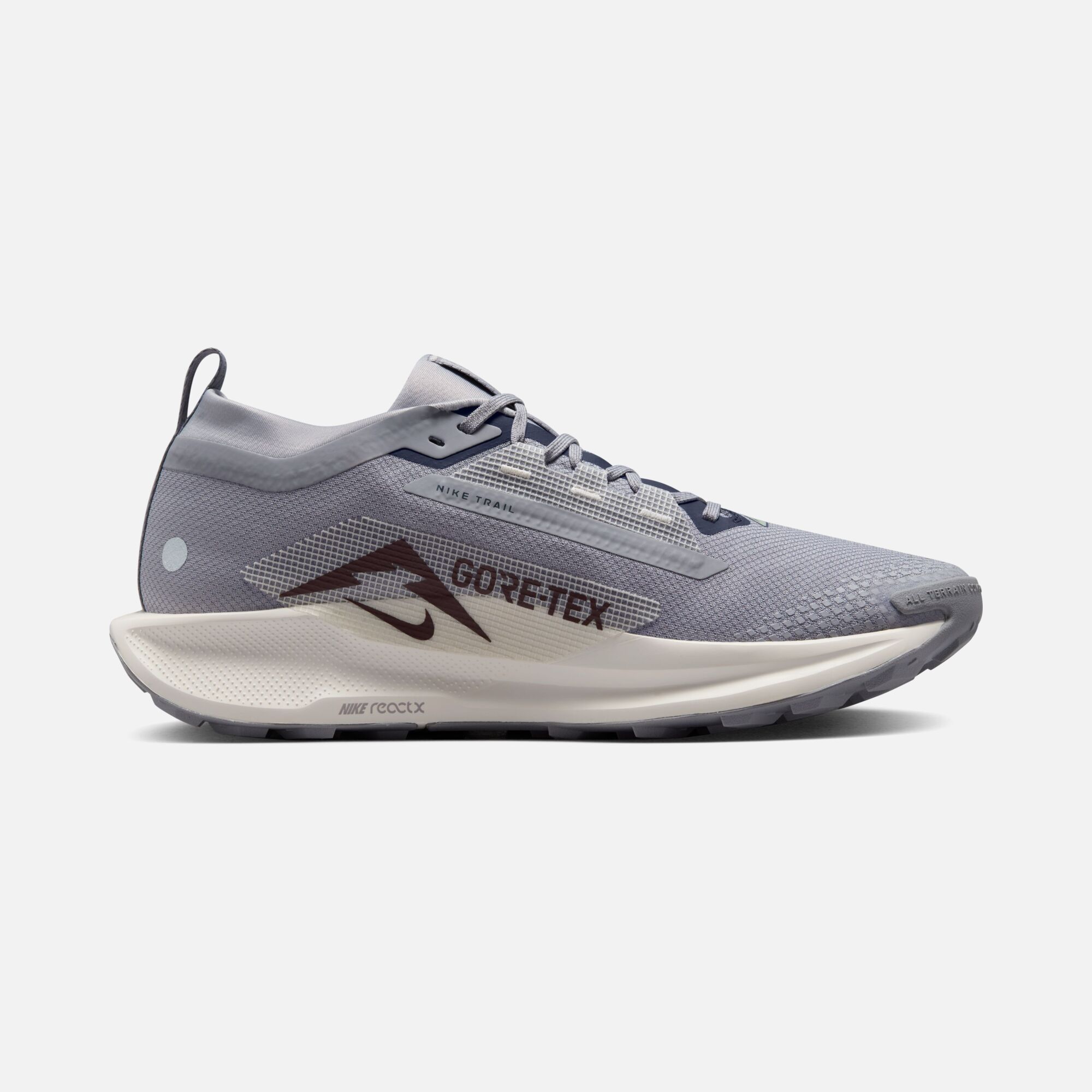 Nike Pegasus Trail 5 Gore-Tex Running Erkek Spor Ayakkabı