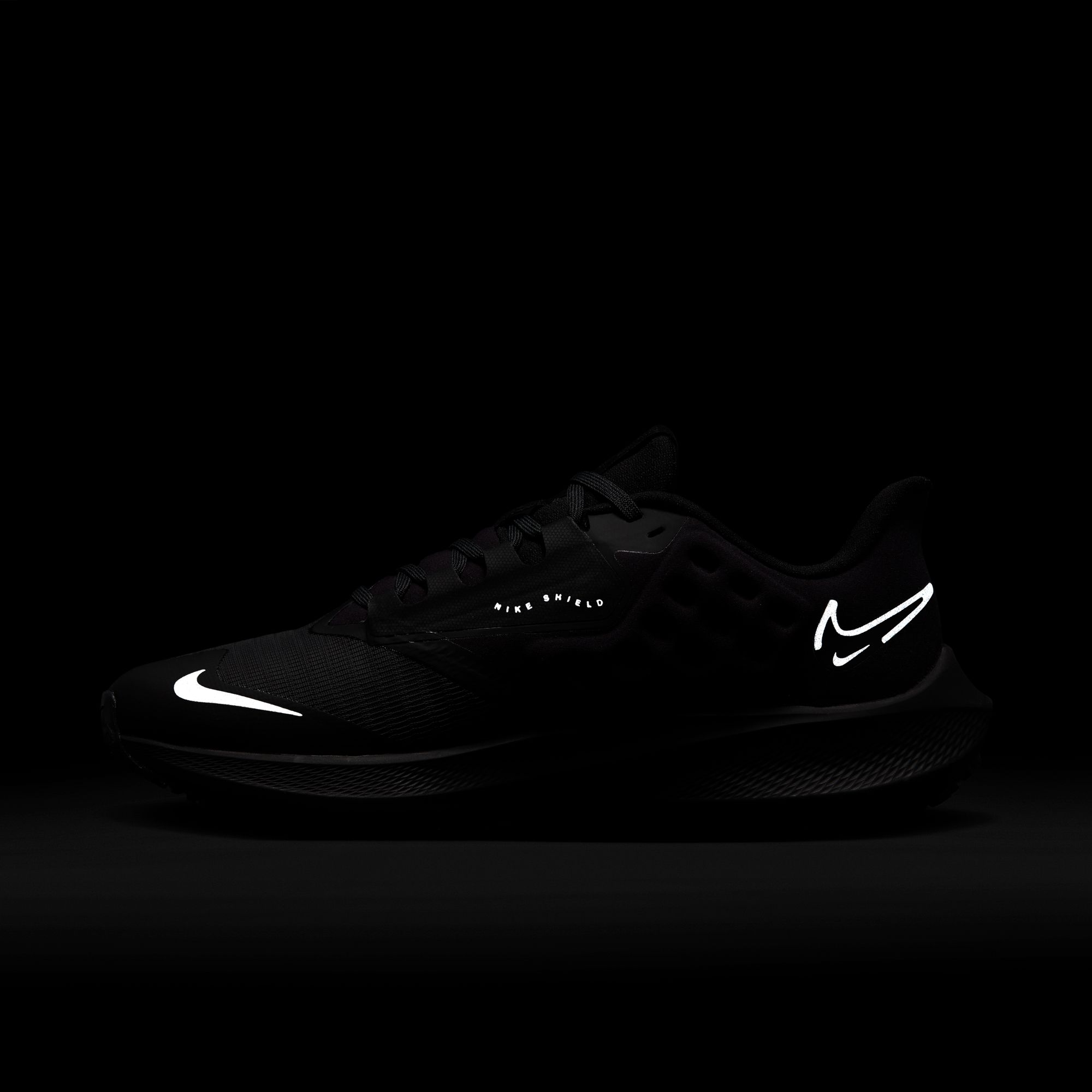 Nike Air Zoom Pegasus 39 Shield Weatherised Road Running Kadın Spor Ayakkabı