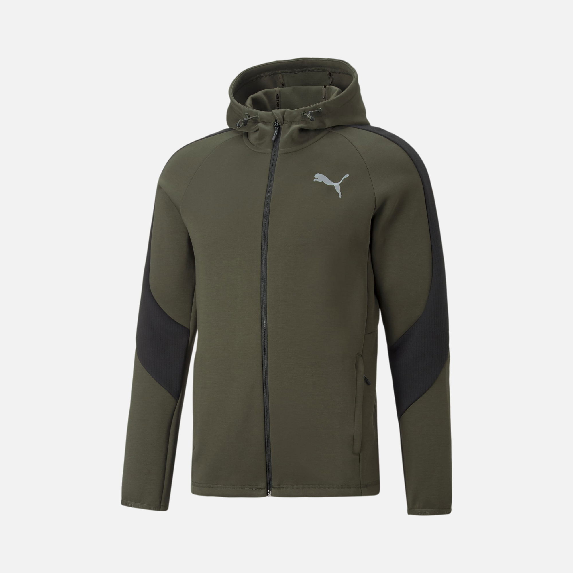 Puma Sportswear Evostripe Full-Zip Hoodie Erkek Sweatshirt