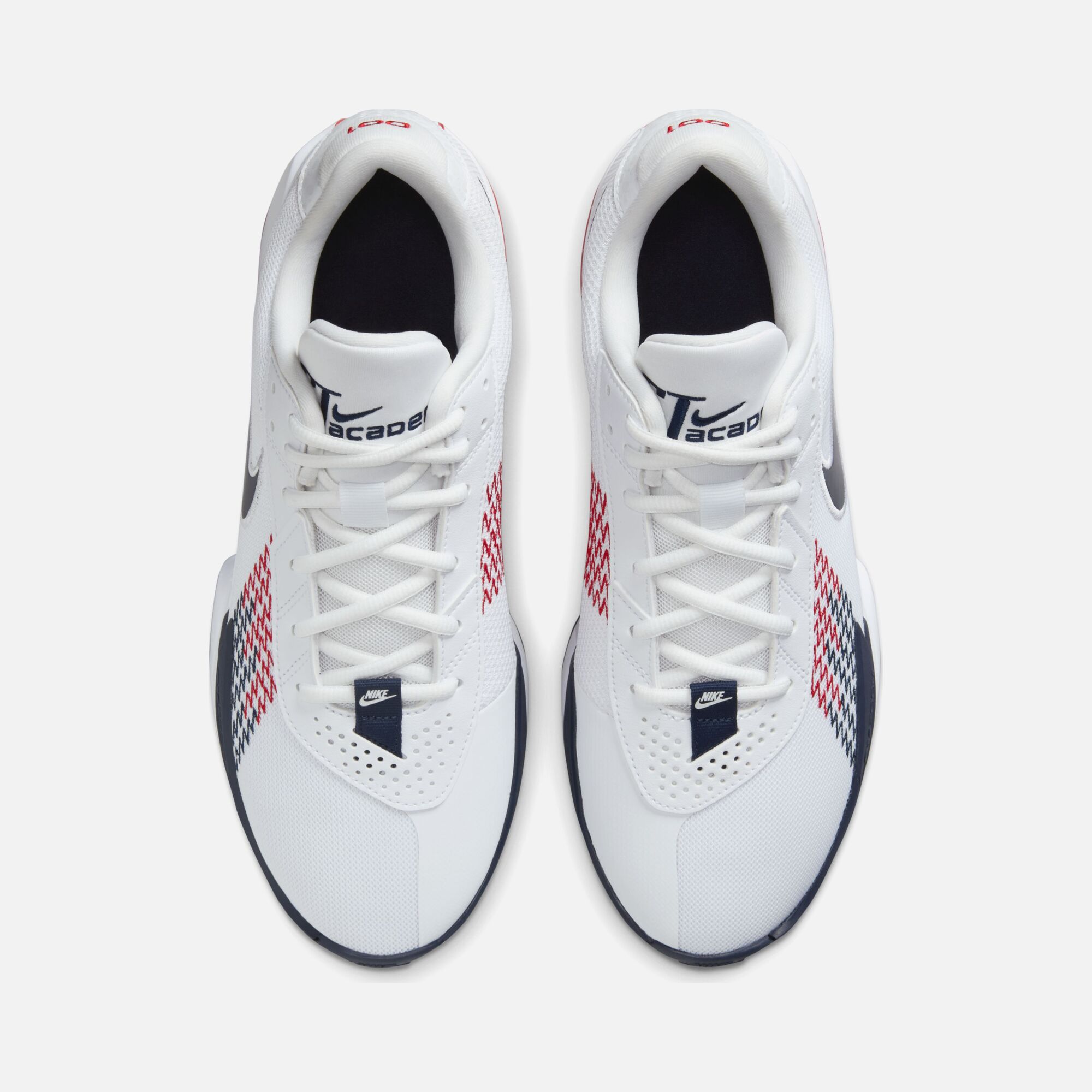 Nike G.T. Cut Academy Air Zoom Erkek Basketbol Ayakkabısı