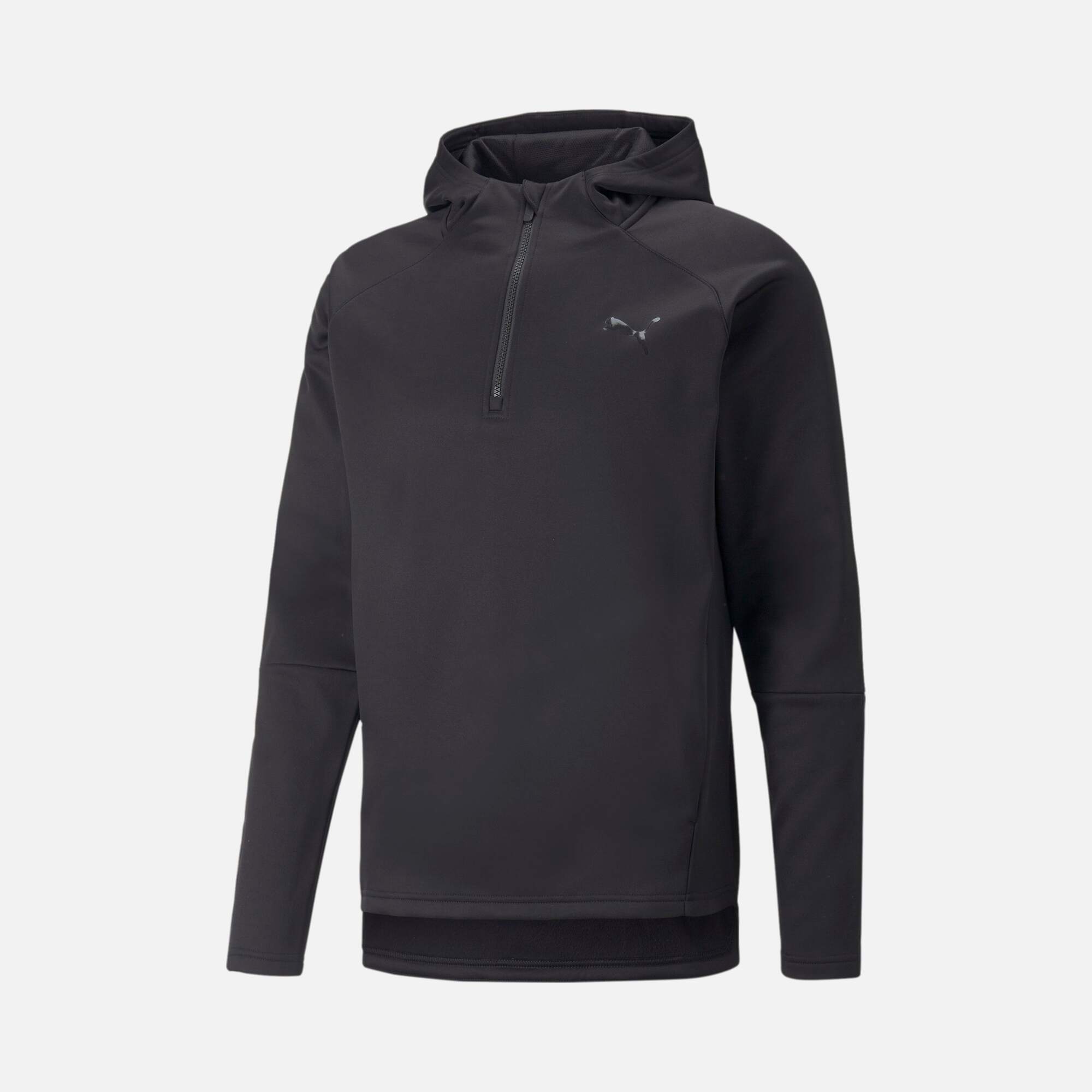 Puma Train Off Season Power Fleece Half-Zip Hoodie Running Erkek Sweatshirt
