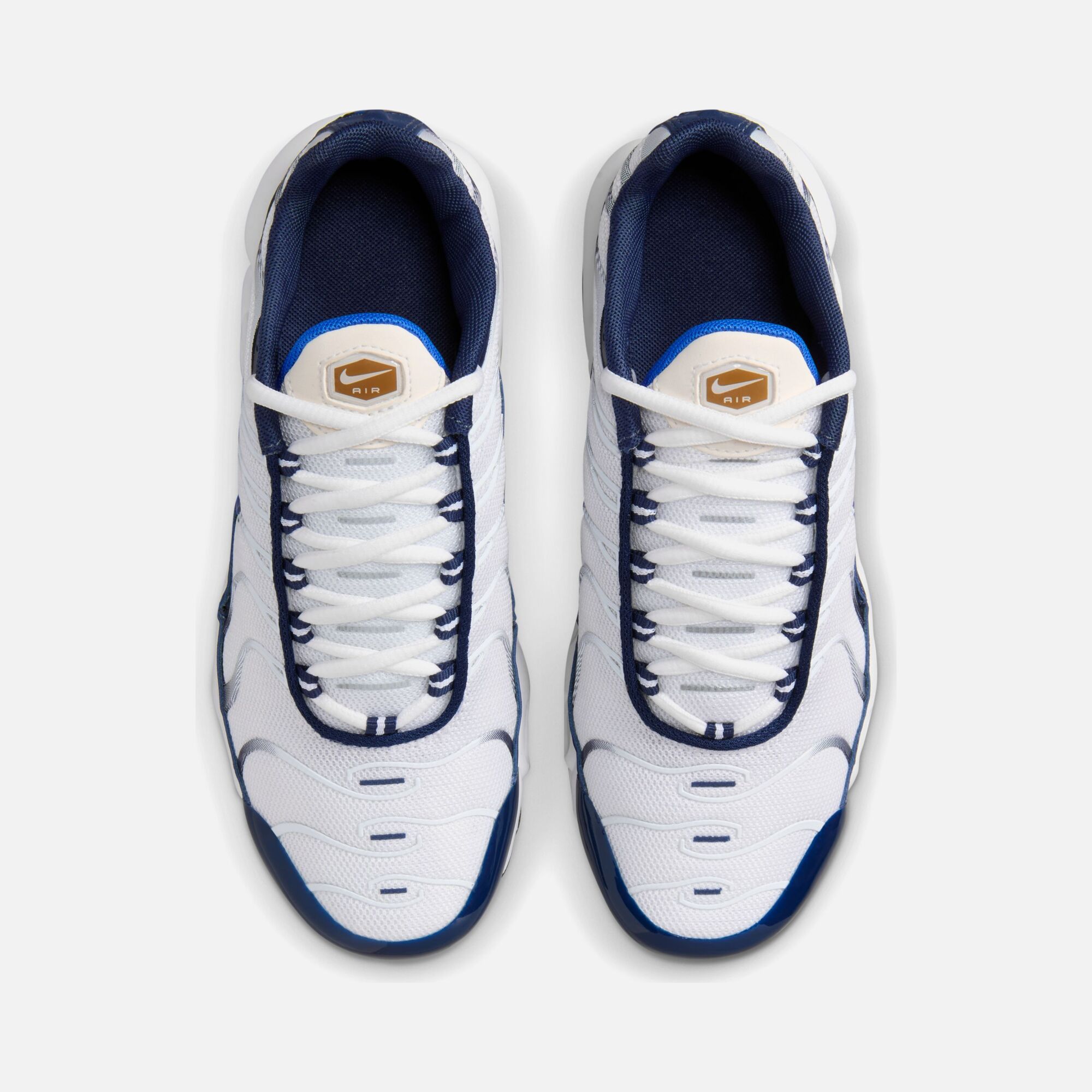Nike Air Max Plus (GS) Spor Ayakkabı