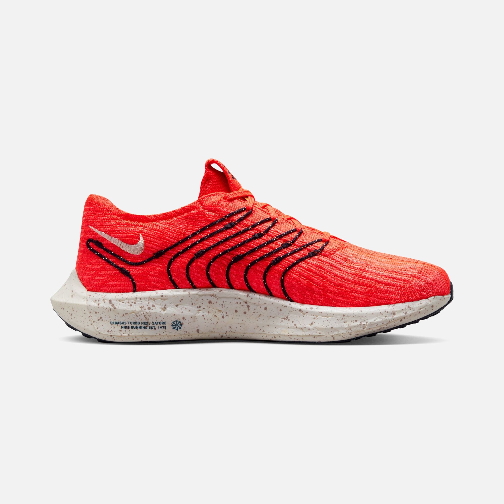 Nike Pegasus Turbo Next Nature Road Running Erkek Spor Ayakkabı