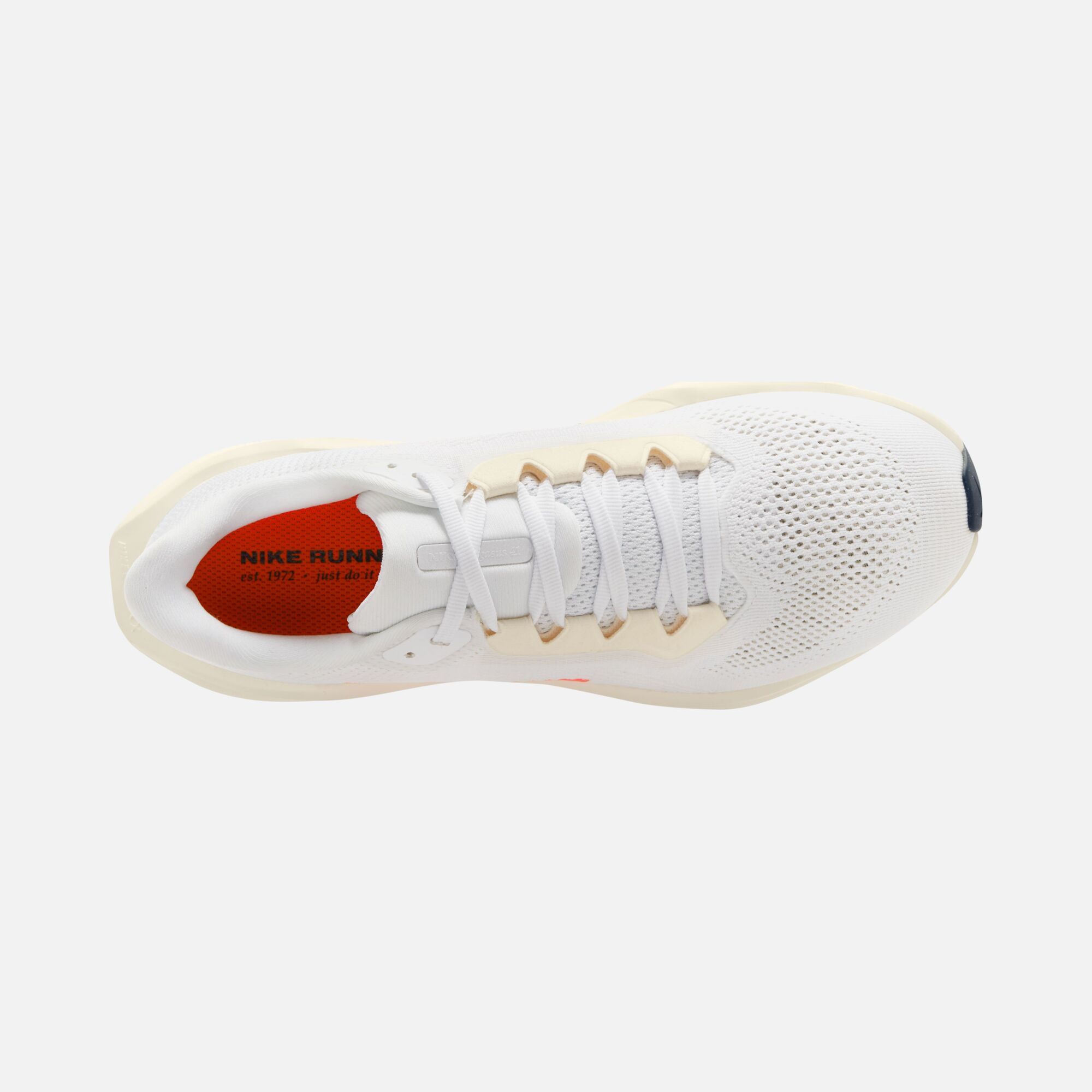Nike Air Zoom Pegasus 41 PQ FW24 Road Running Kadın Spor Ayakkabı