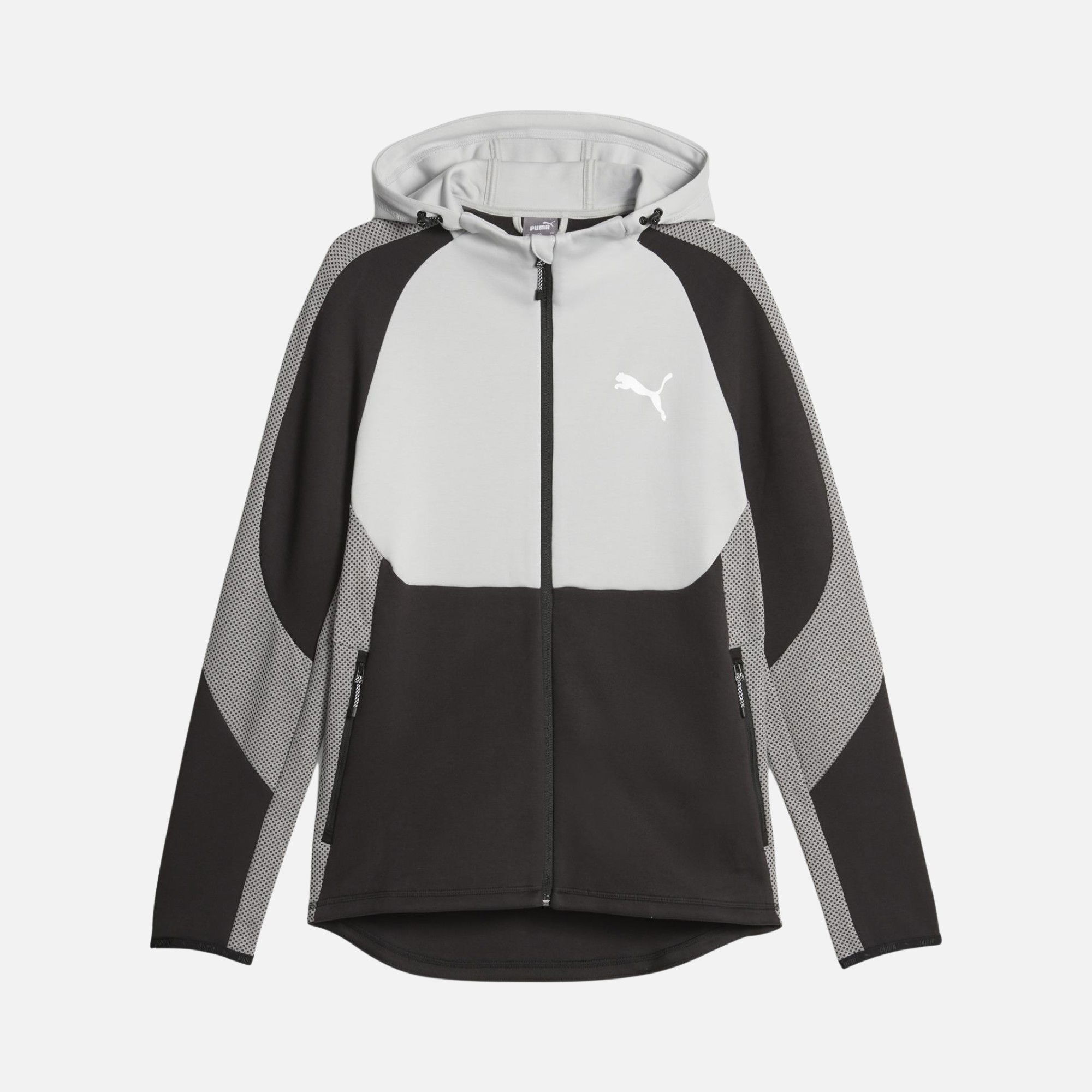 Puma Sportwear Evostripe Full-Zip Hoodie Erkek Sweatshirt