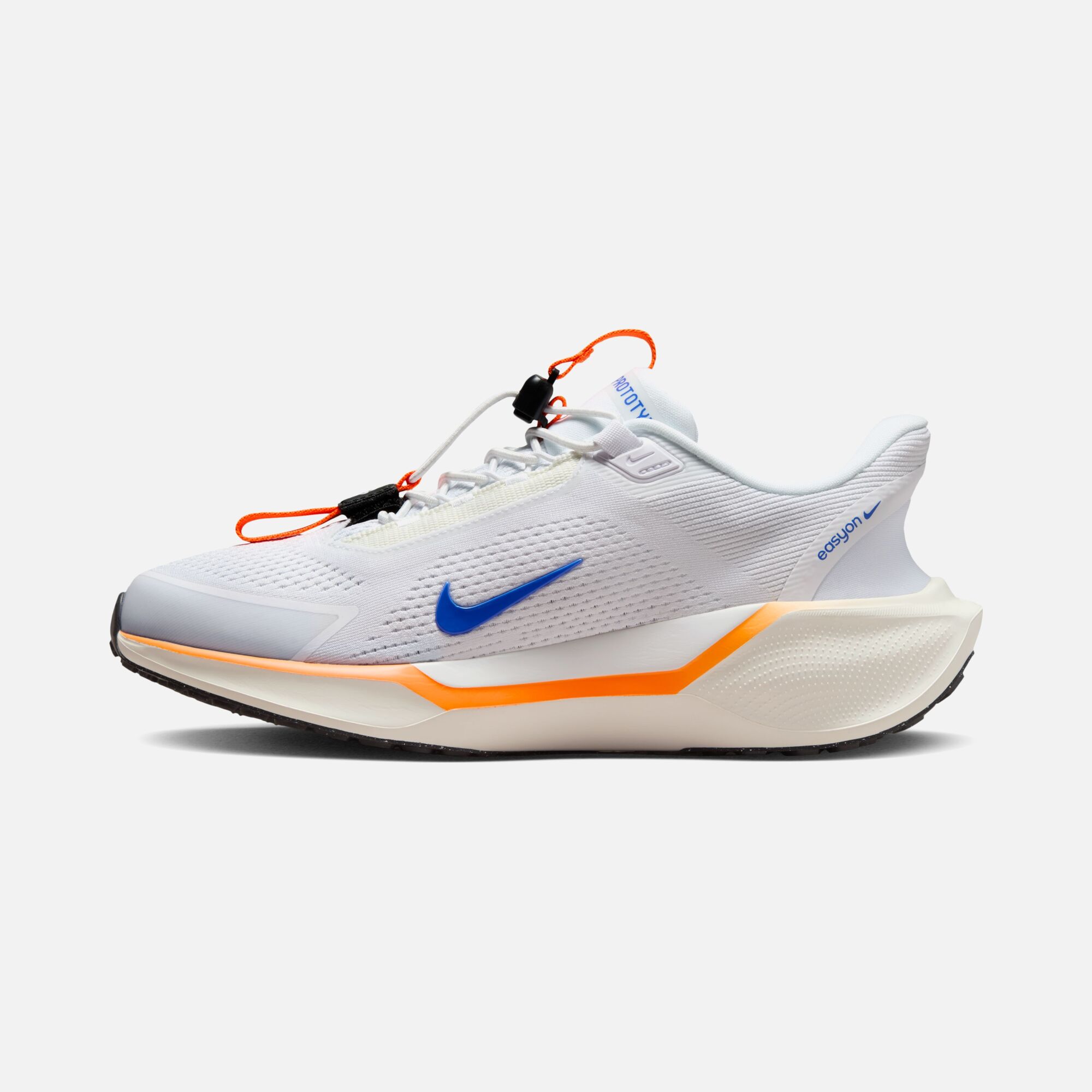 Nike Pegasus EasyOn Blueprint Road Running Kadın Spor Ayakkabı