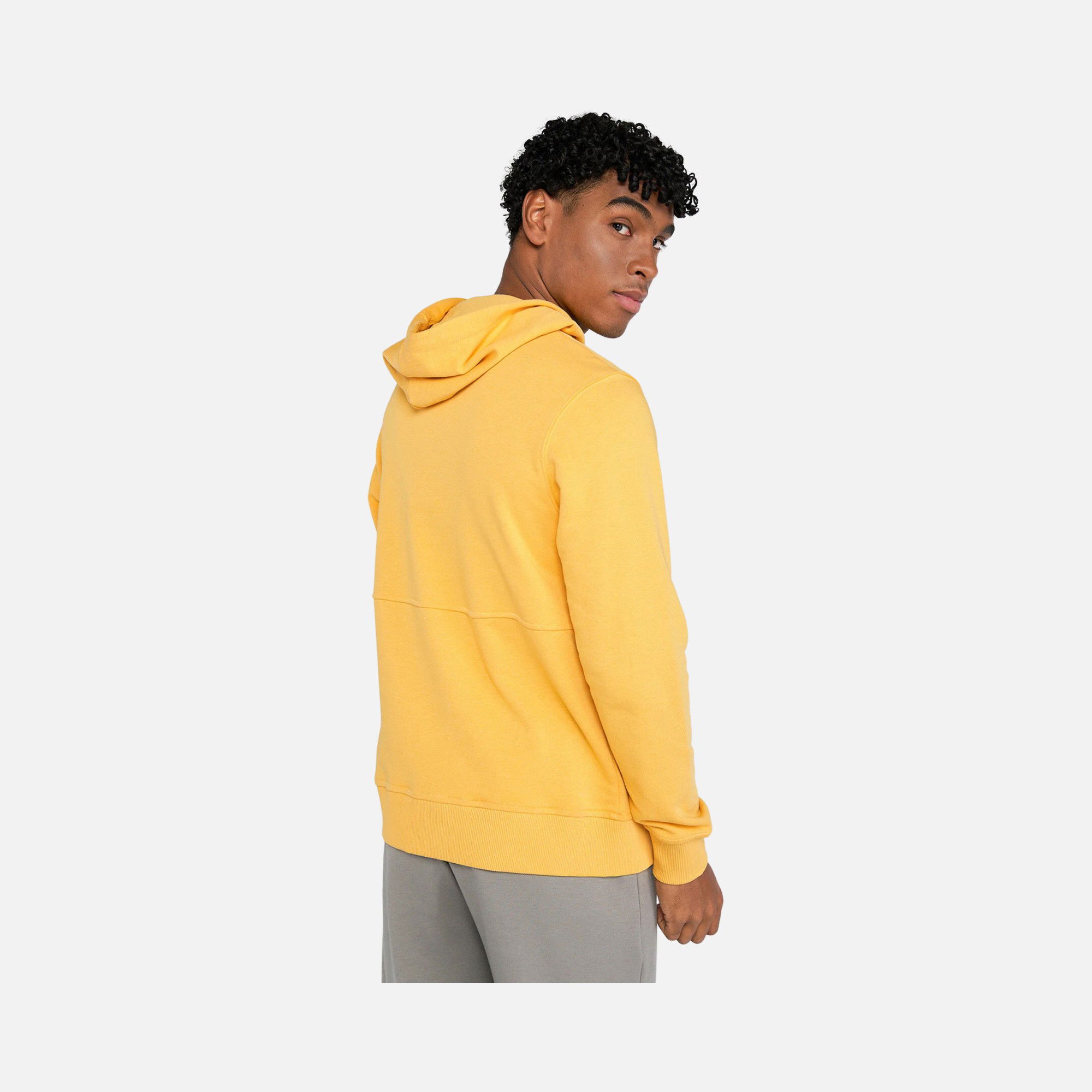 Hummel Sportswear Frank Hoodie Erkek Sweatshirt