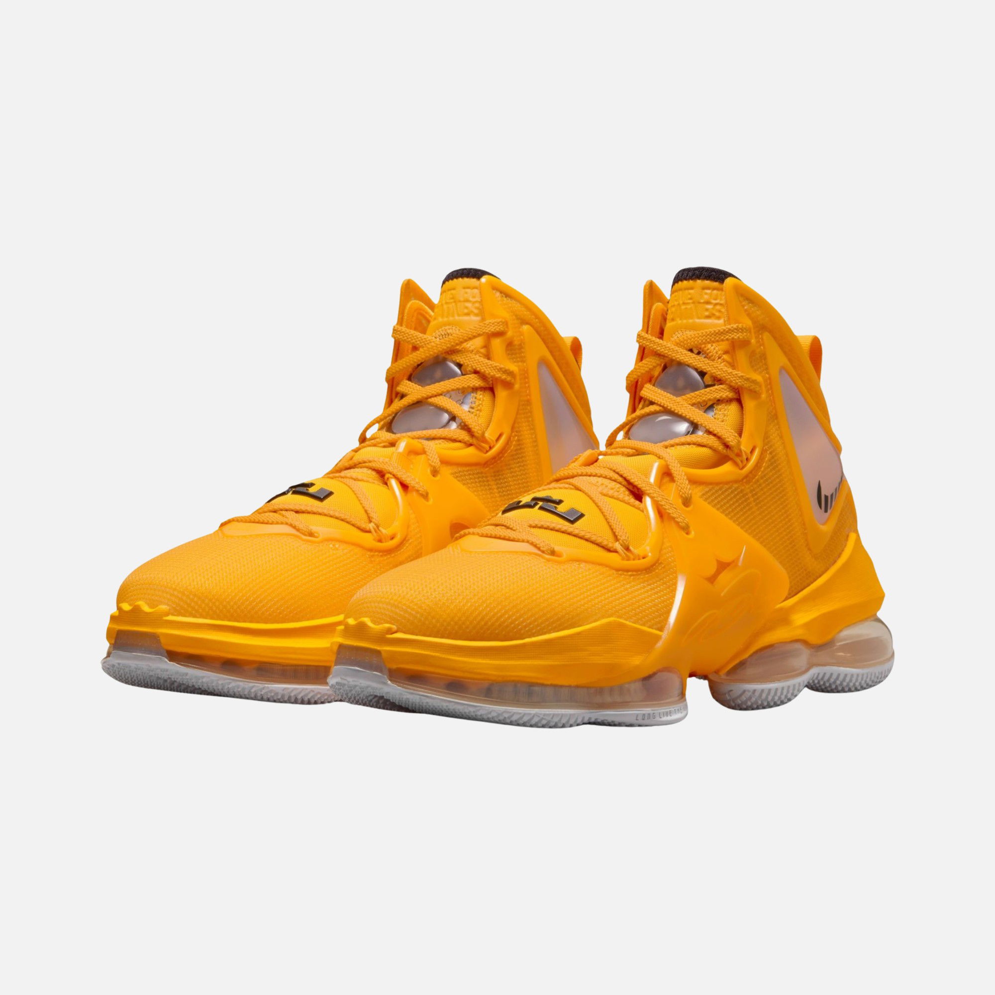 Nike LeBron James XIX CO Erkek Basketbol Ayakkabısı