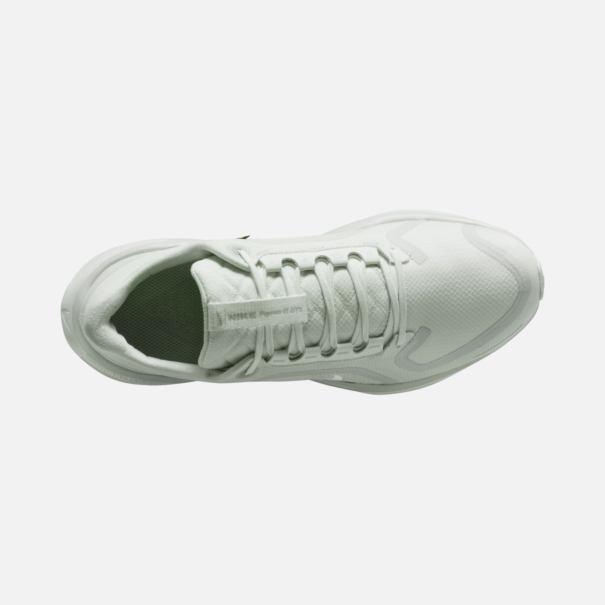 Nike Air Zoom Pegasus 41 Gore-Tex Waterproof Road Running Kadın Spor Ayakkabı