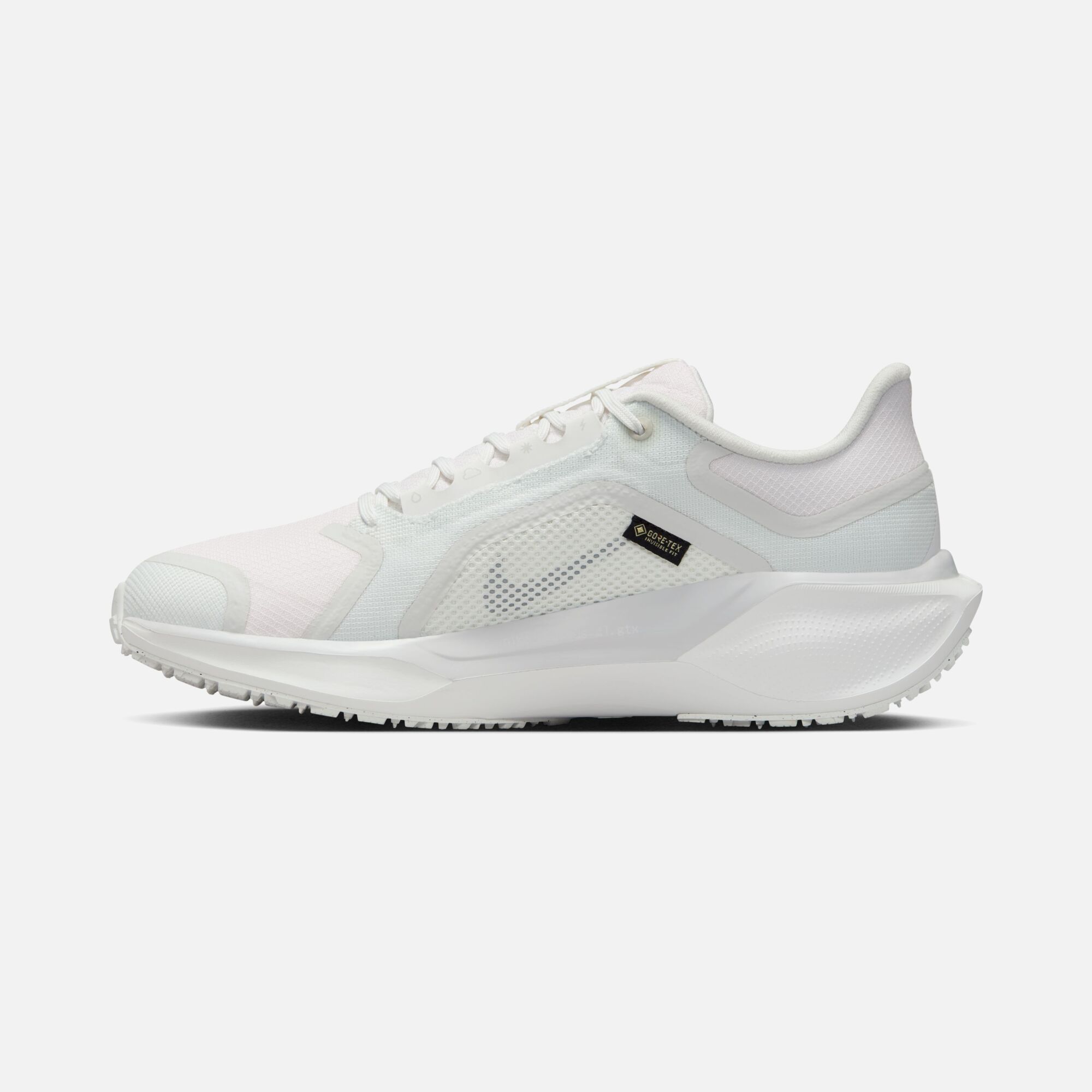 Nike Air Zoom Pegasus 41 Gore-Tex Waterproof Road Running Kadın Spor Ayakkabı