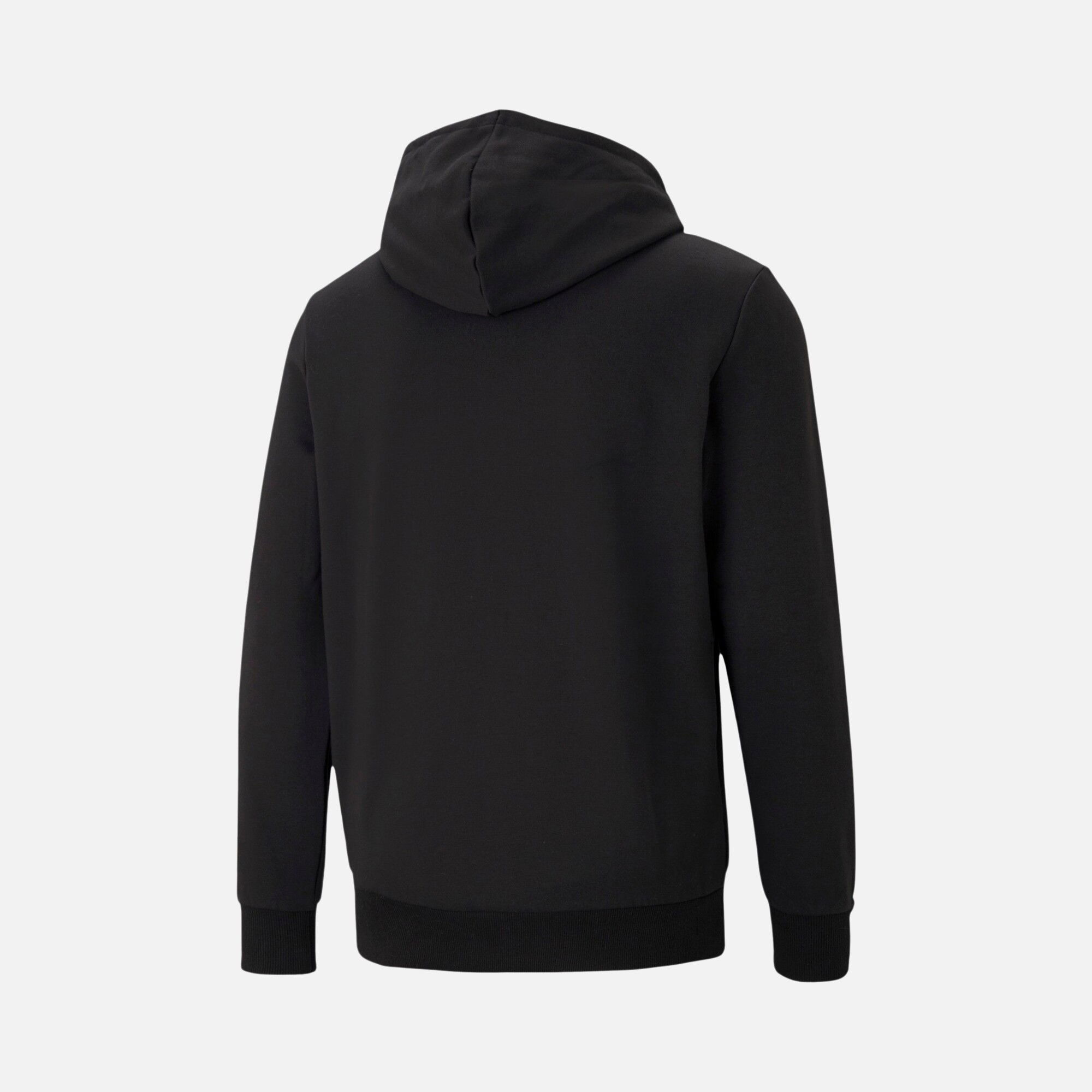 Puma Sportswear Classics Graphic Logo Hoodie Erkek Sweatshirt
