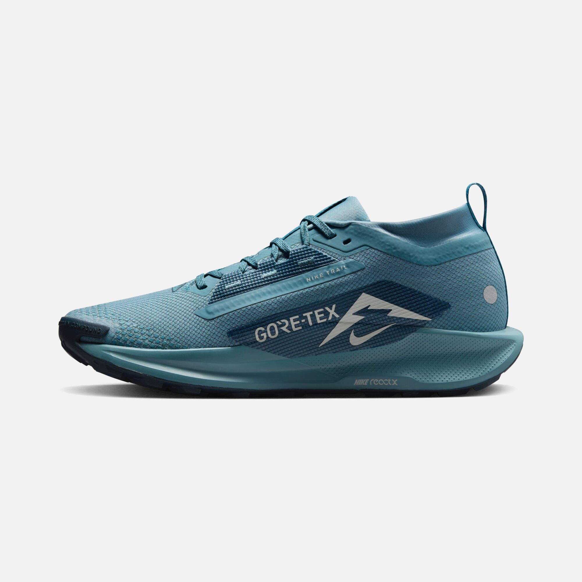 Nike Pegasus Trail 5 Gore-Tex Running Erkek Spor Ayakkabı
