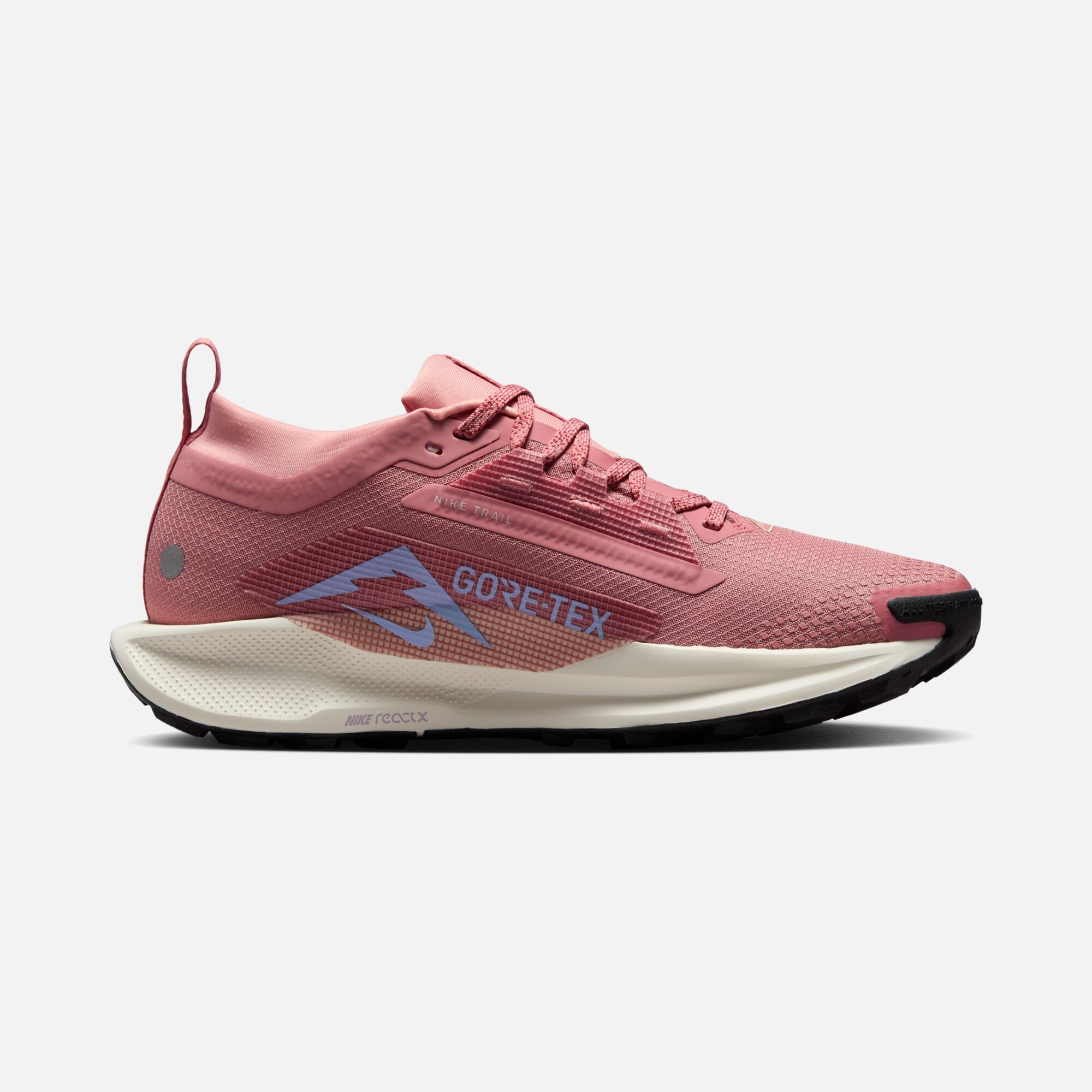 Nike Pegasus Trail 5 Gore-Tex Running Kadın Spor Ayakkabı