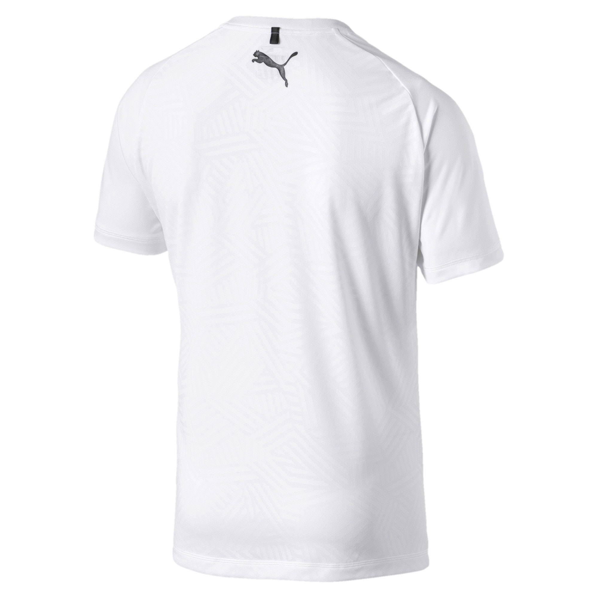 Puma Tec Sports Erkek Tişört