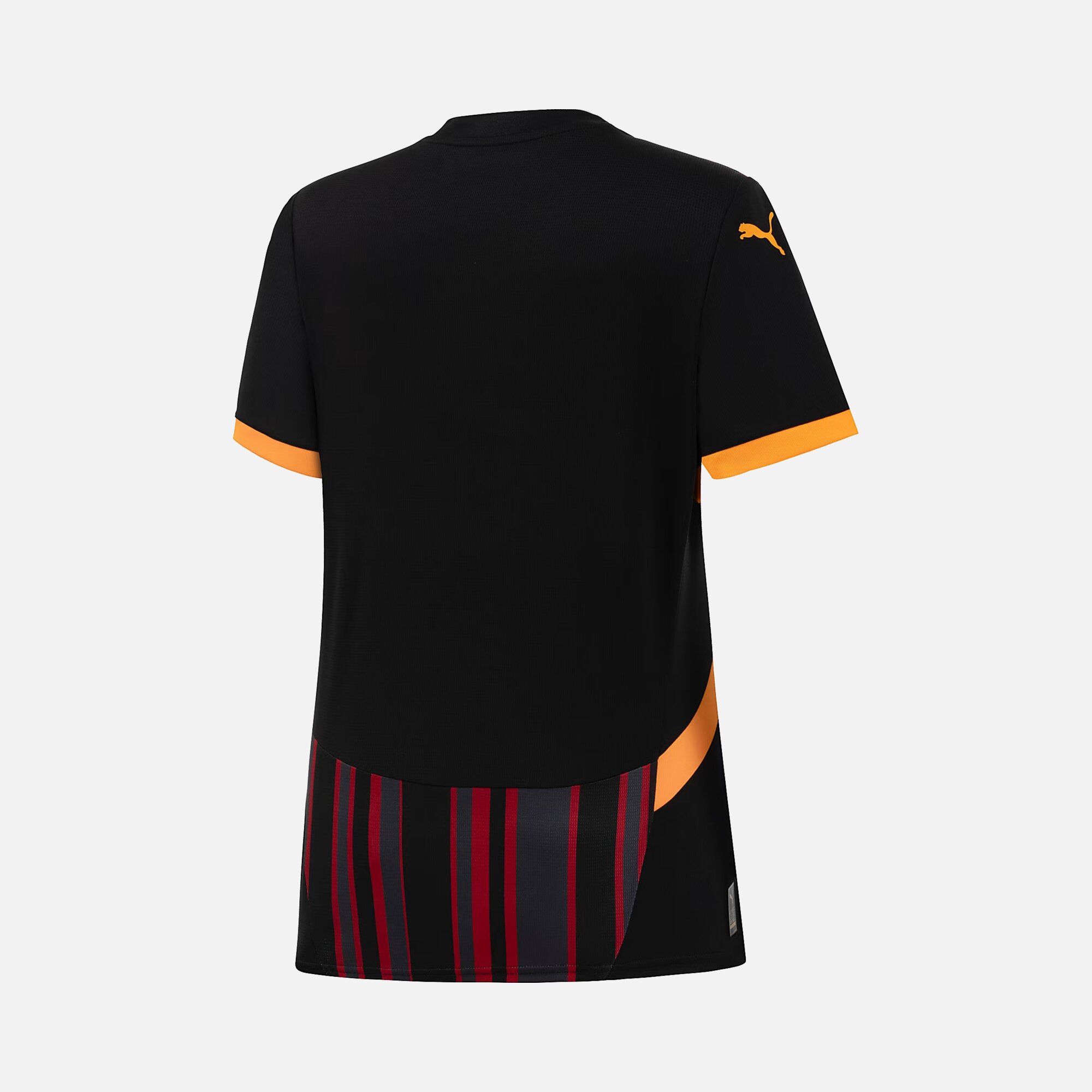 Puma Galatasaray 2024-2025 Stadium Üçüncü Takım Kadın Forma