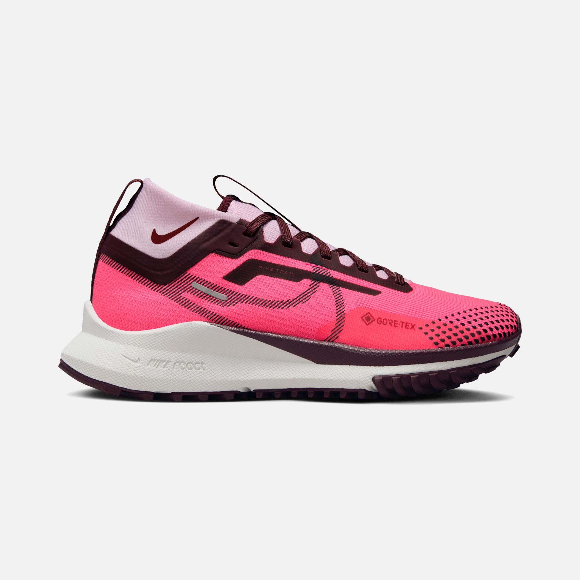 Nike Pegasus Trail 4 Gore-Tex Trail-Running FA23 Kadın Spor Ayakkabı