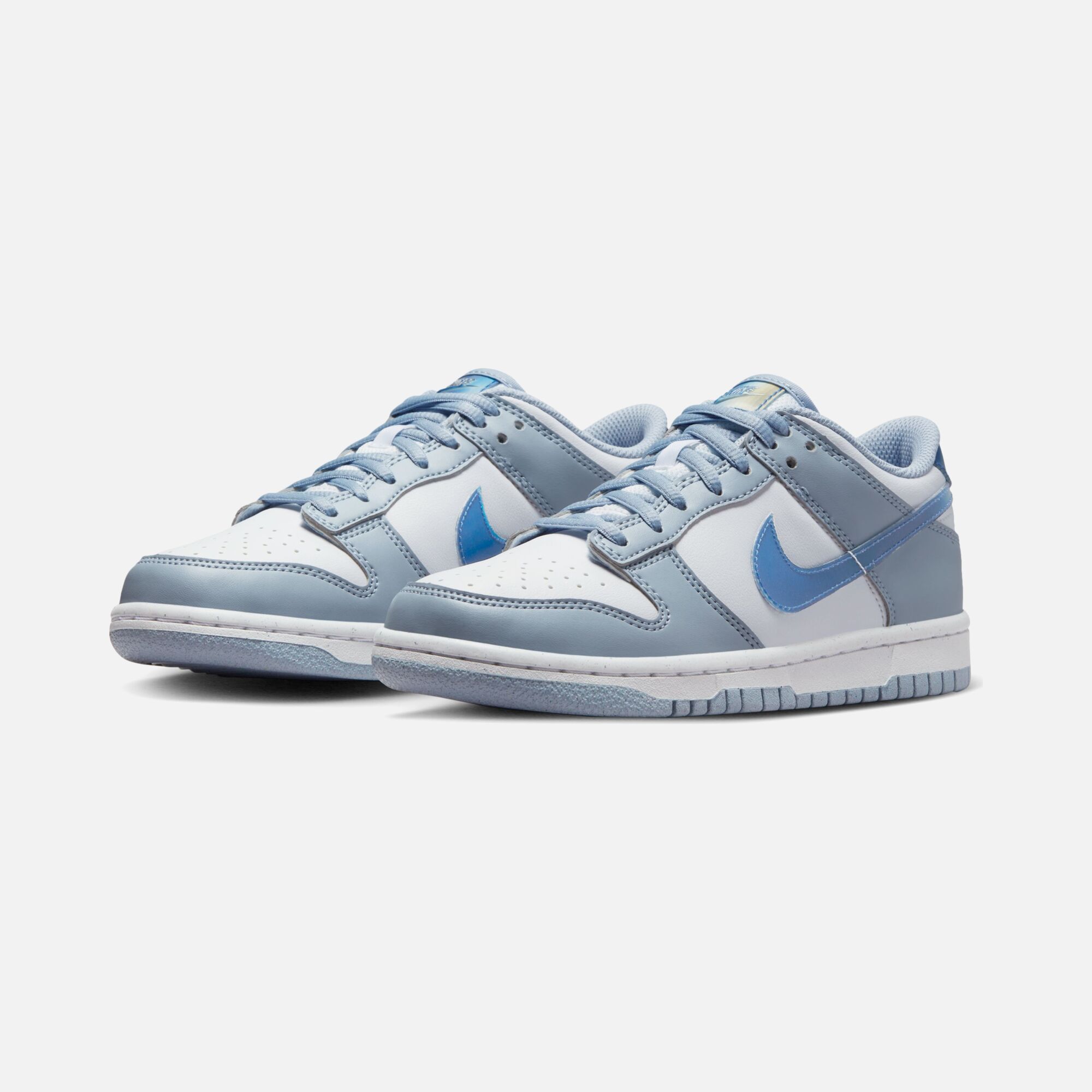 Nike Dunk Low Next Nature ''Iridescent Details Swoosh'' (GS) Spor Ayakkabı