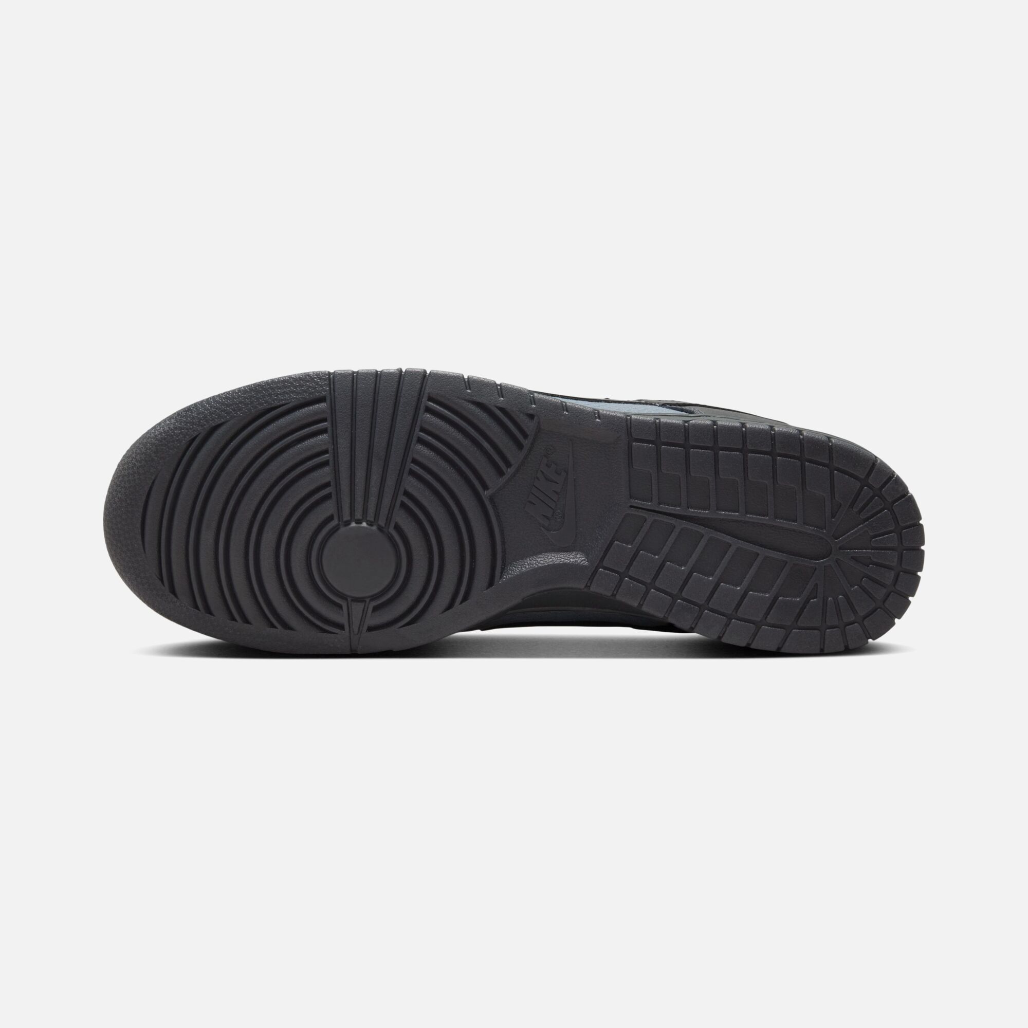 Nike Dunk Low Retro SE Winterized Erkek Spor Ayakkabı