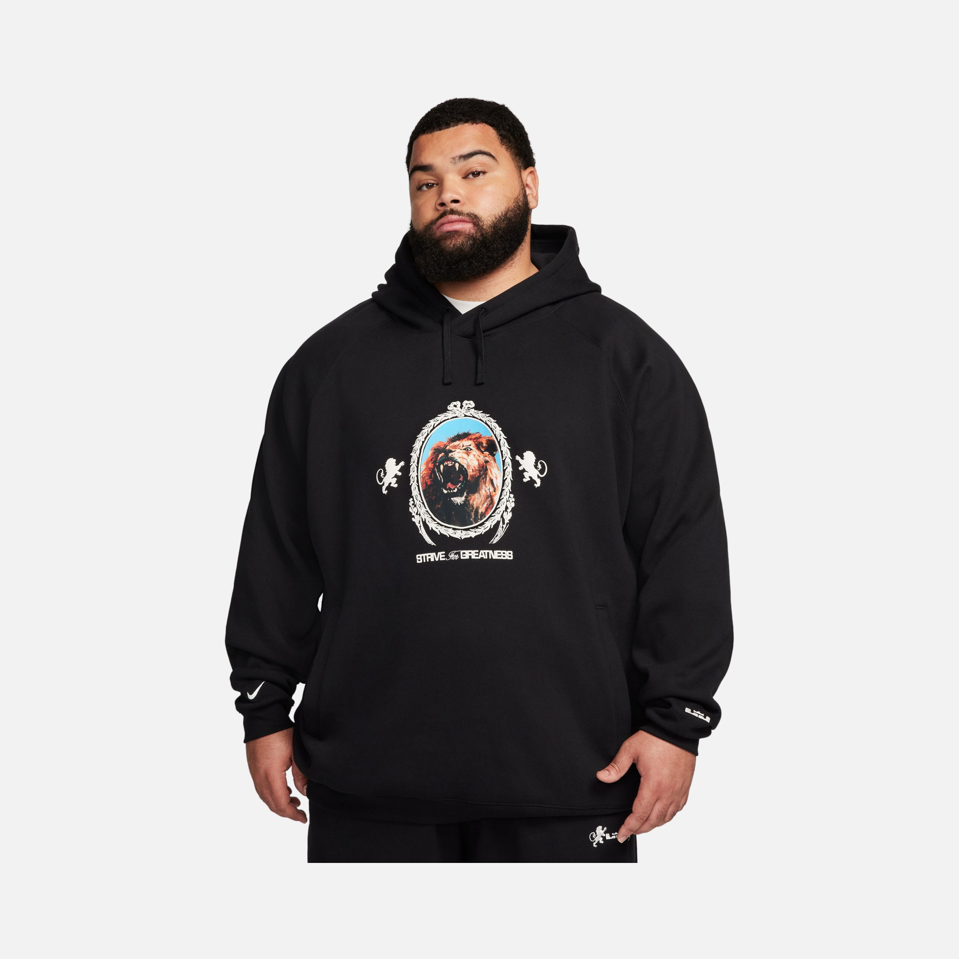 Nike LeBron James Brush Pullover Fleece Hoodie Erkek Sweatshirt