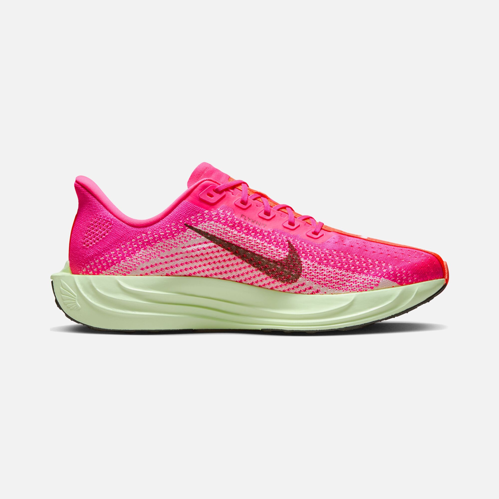 Nike Pegasus Plus SU25 Erkek Koşu Ayakkabısı