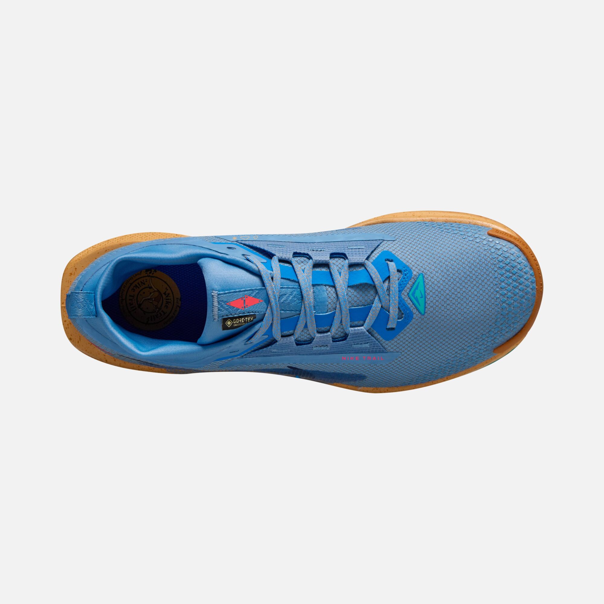 Nike Pegasus Trail 5 Gore-Tex Running Erkek Spor Ayakkabı