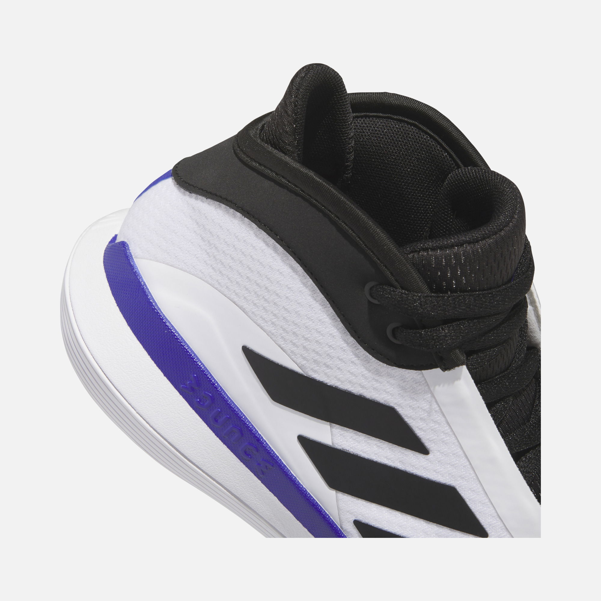 adidas Bounce Legends FW24 Erkek Basketbol Ayakkabısı
