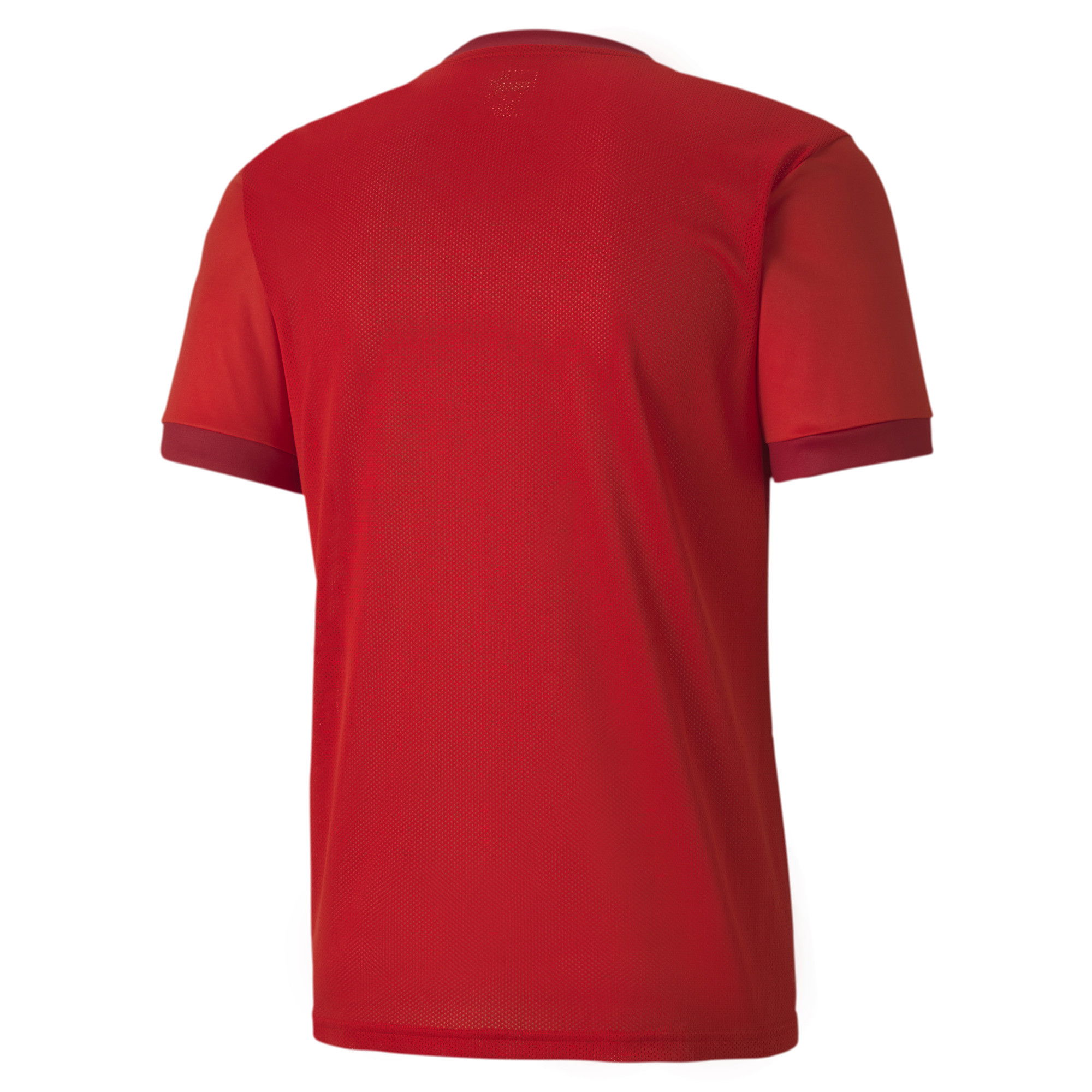 Puma Team Goal 23 Jersey Erkek Tişört