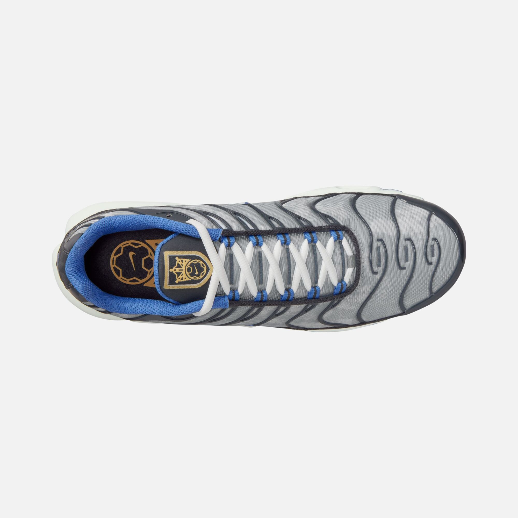 Nike Air Max Plus SE Erkek Spor Ayakkabı