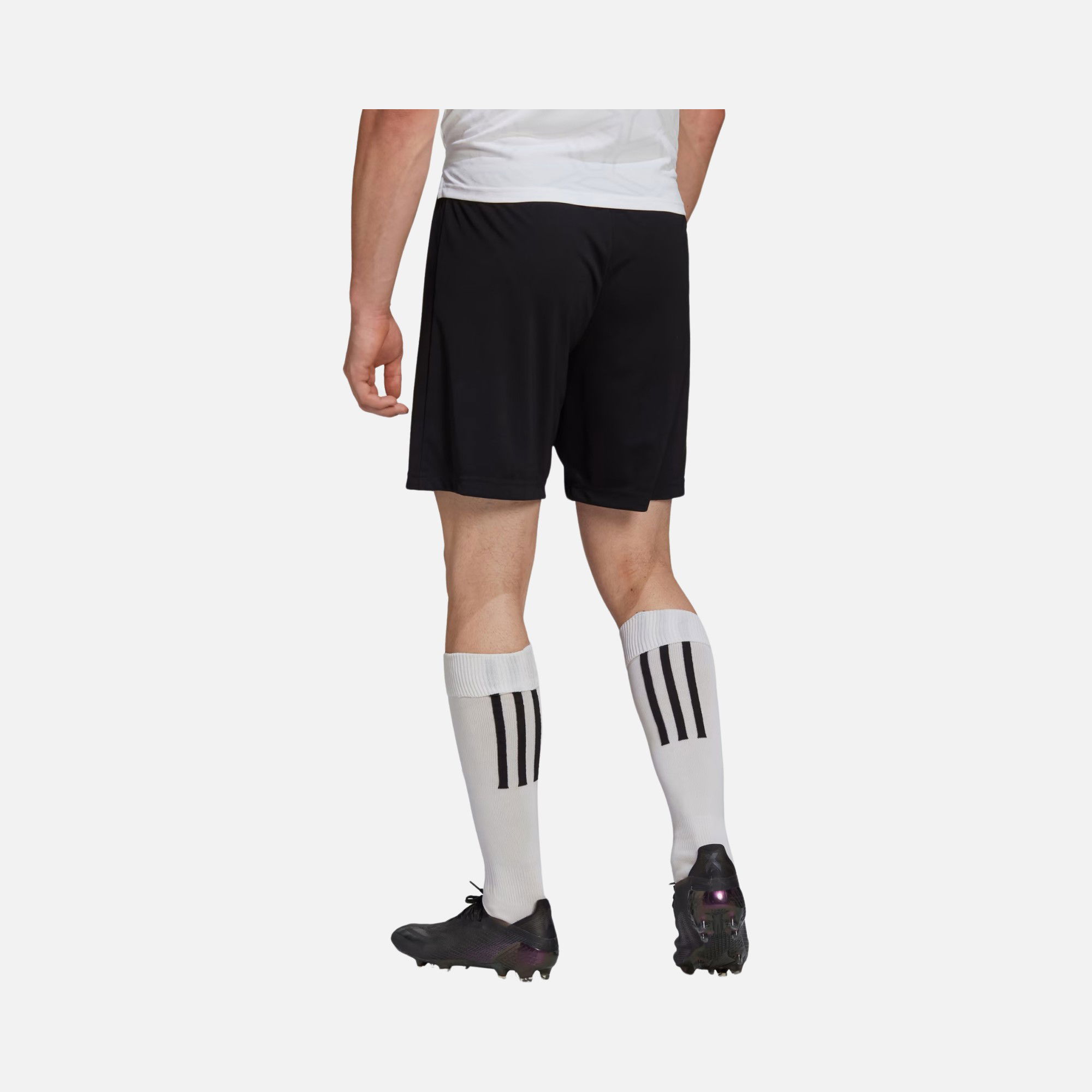 adidas Entrada 22 Erkek Şort