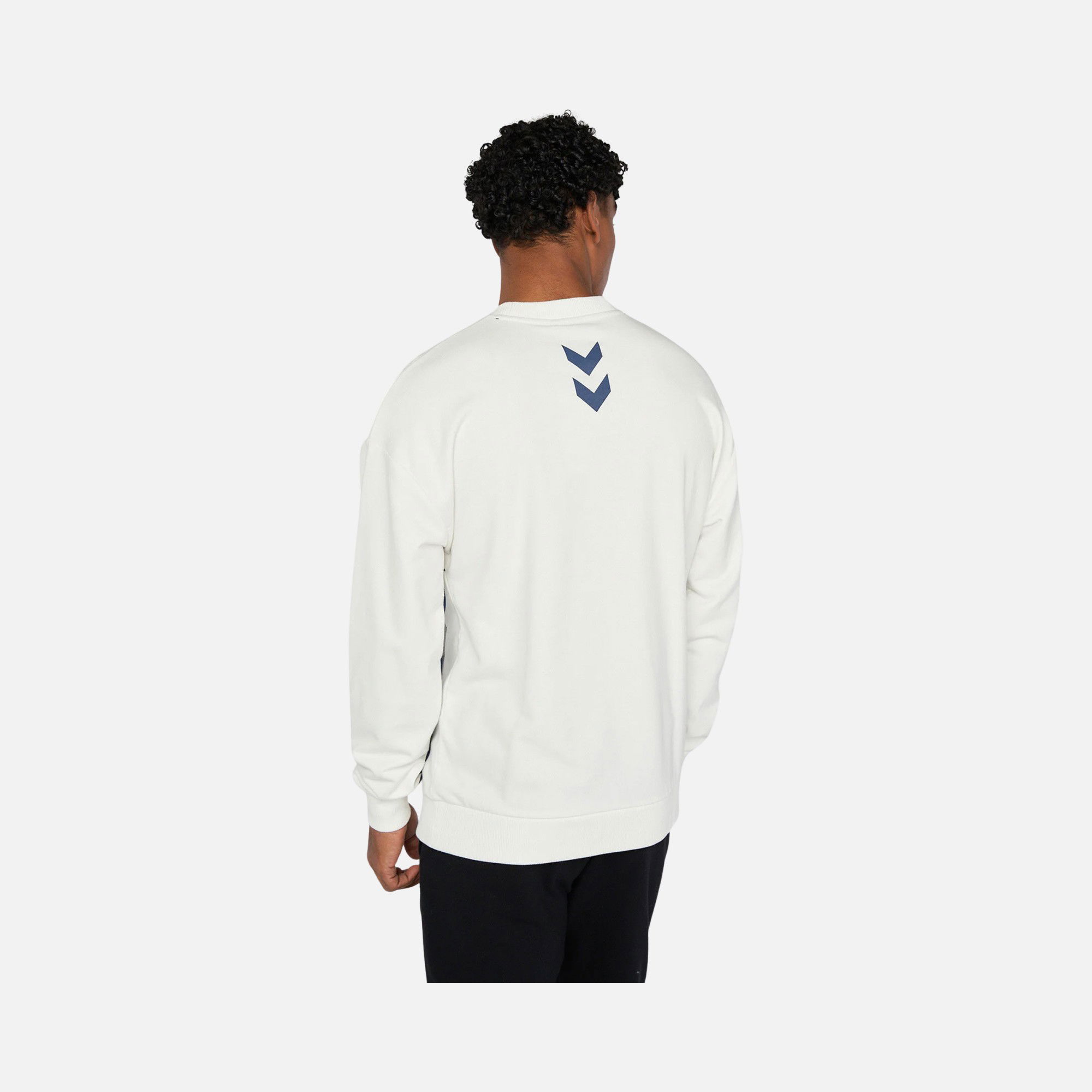 Hummel Sportswear Klimt Colorblock Erkek Sweatshirt