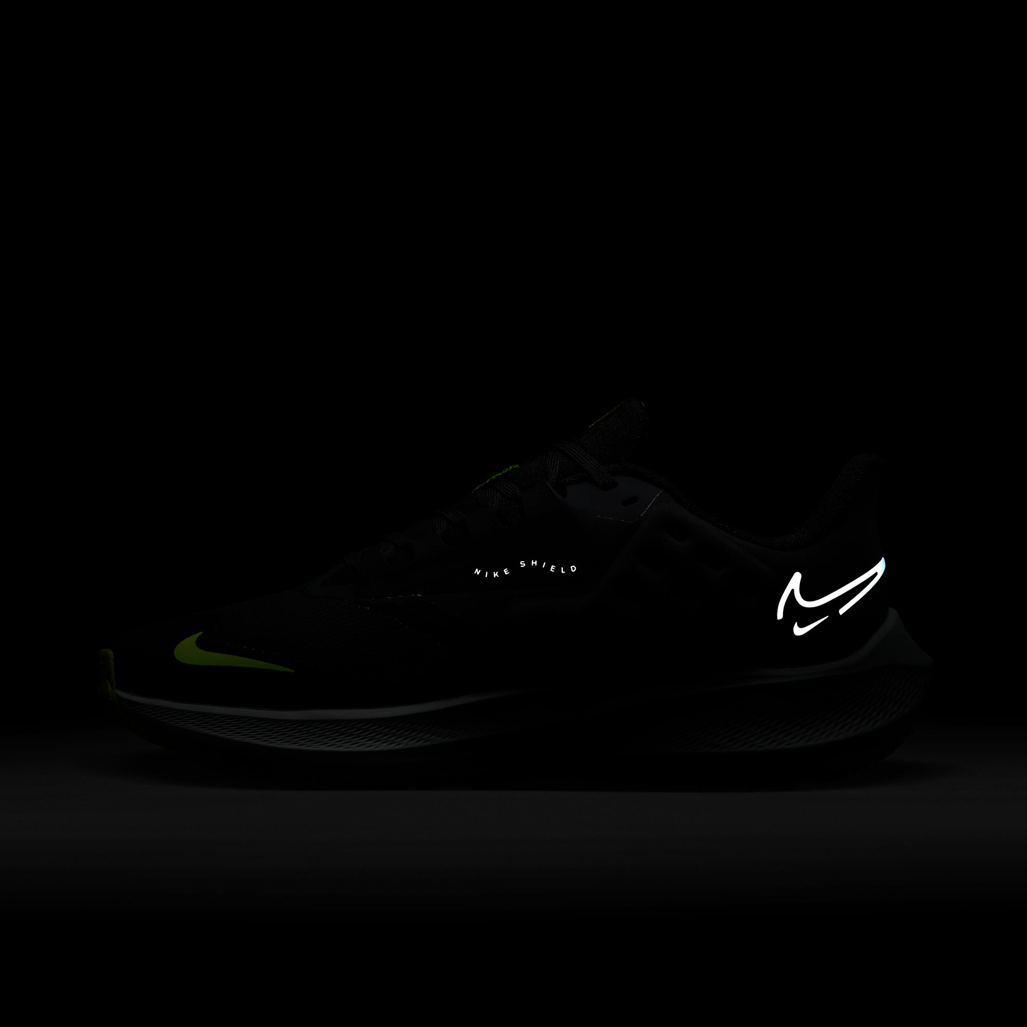 Nike Air Zoom Pegasus 39 Shield Weatherised Road Running Kadın Spor Ayakkabı
