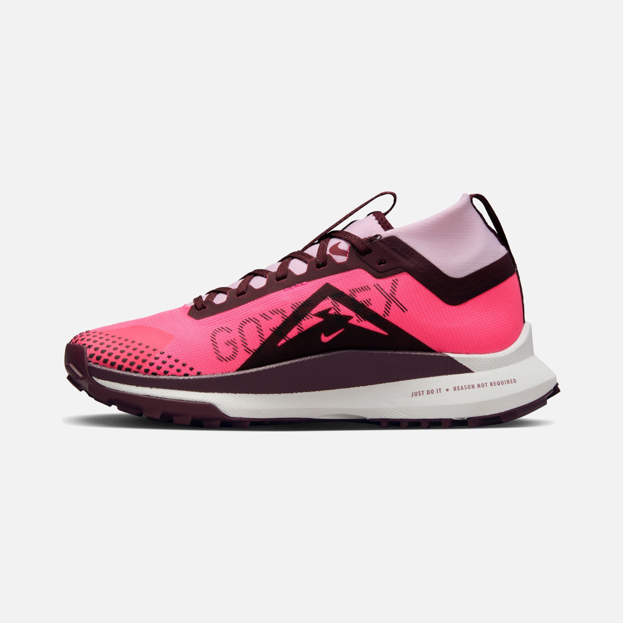 Nike Pegasus Trail 4 Gore-Tex Trail-Running FA23 Kadın Spor Ayakkabı