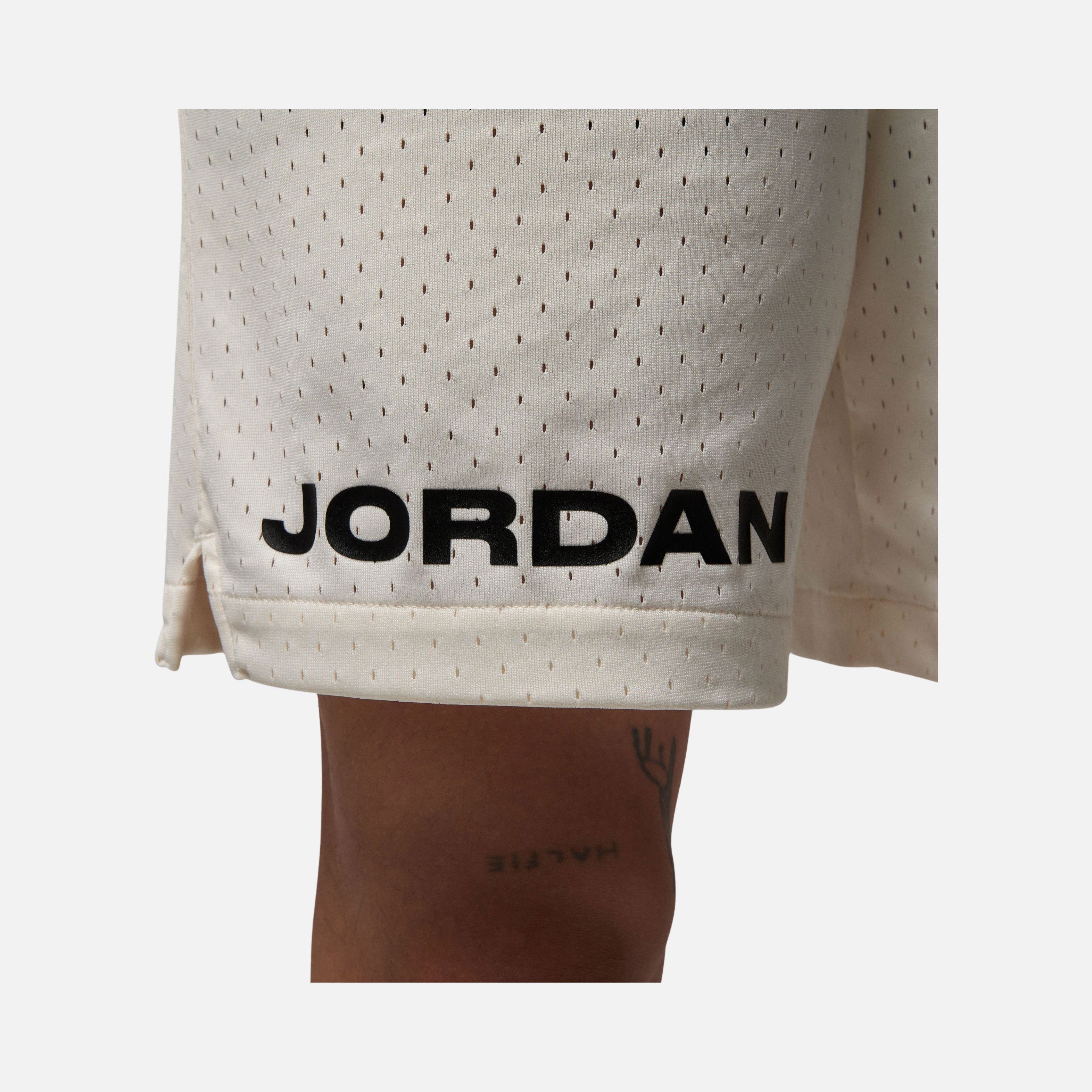 Nike Jordan Dri-Fit Sport BC With Mesh Erkek Şort
