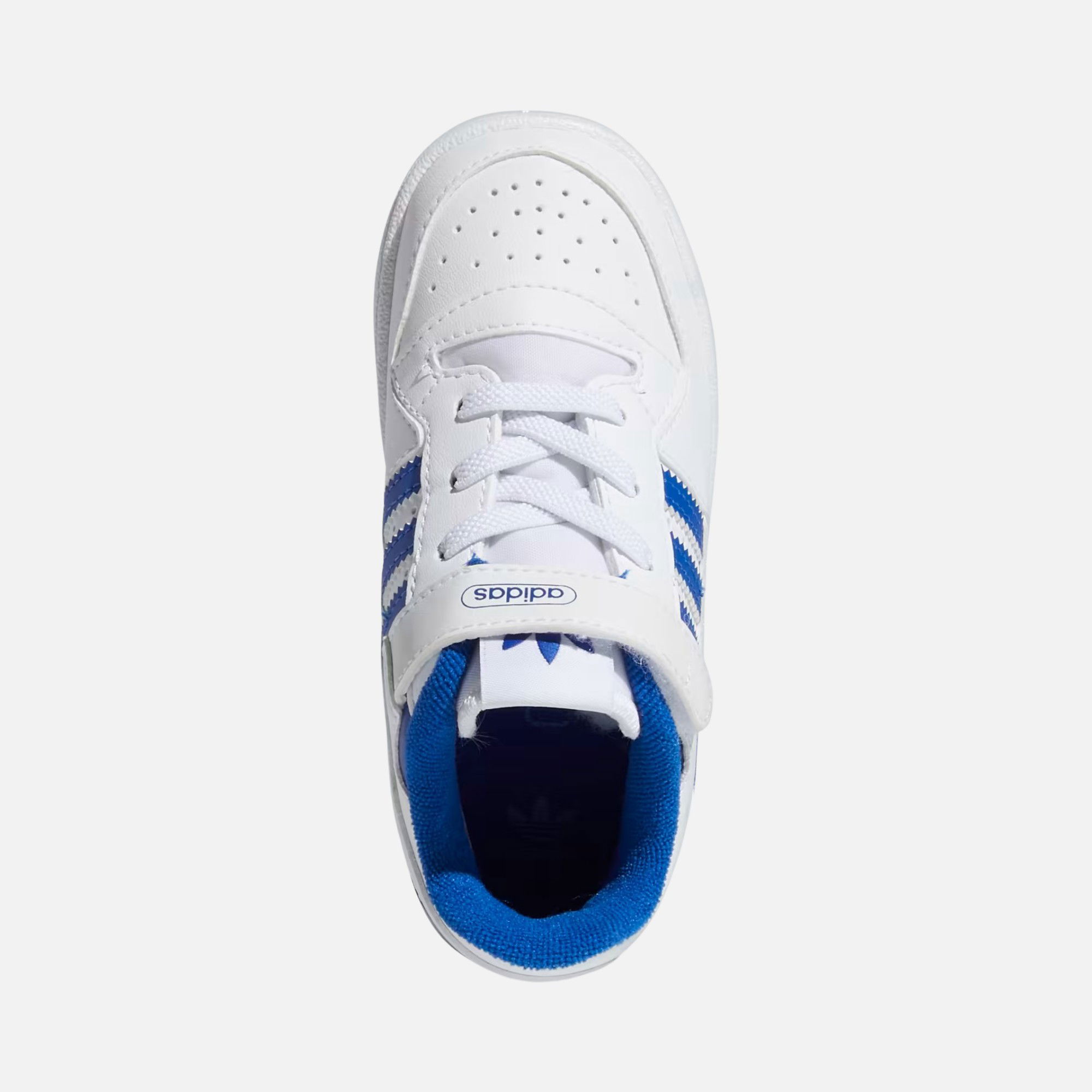adidas Sportswear Forum Low Basketball (TD) CO Bebek Spor Ayakkabı