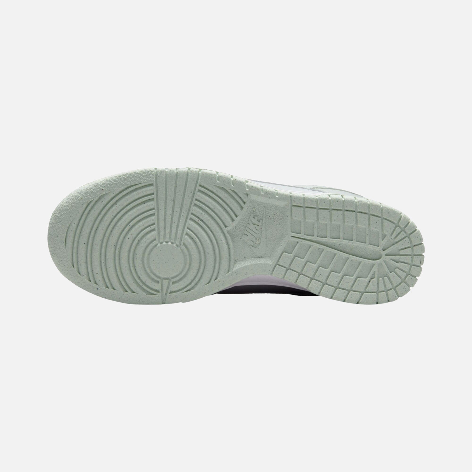 Nike Dunk Low Next Nature CO Kadın Spor Ayakkabı