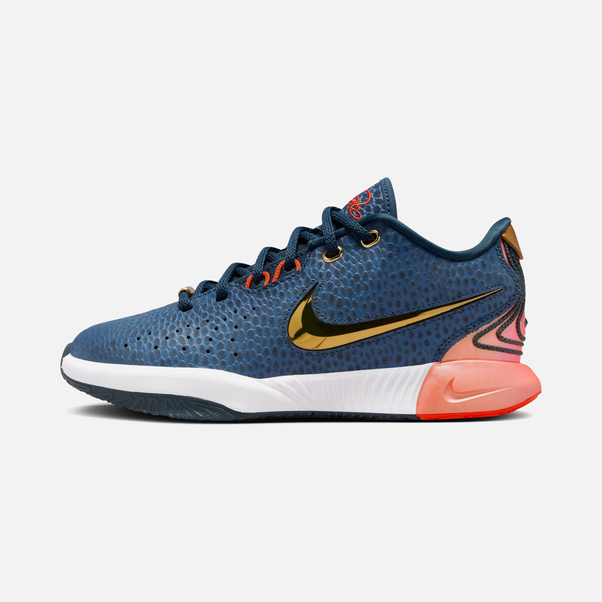 Nike LeBron James XXI SE (GS) Basketbol Ayakkabısı