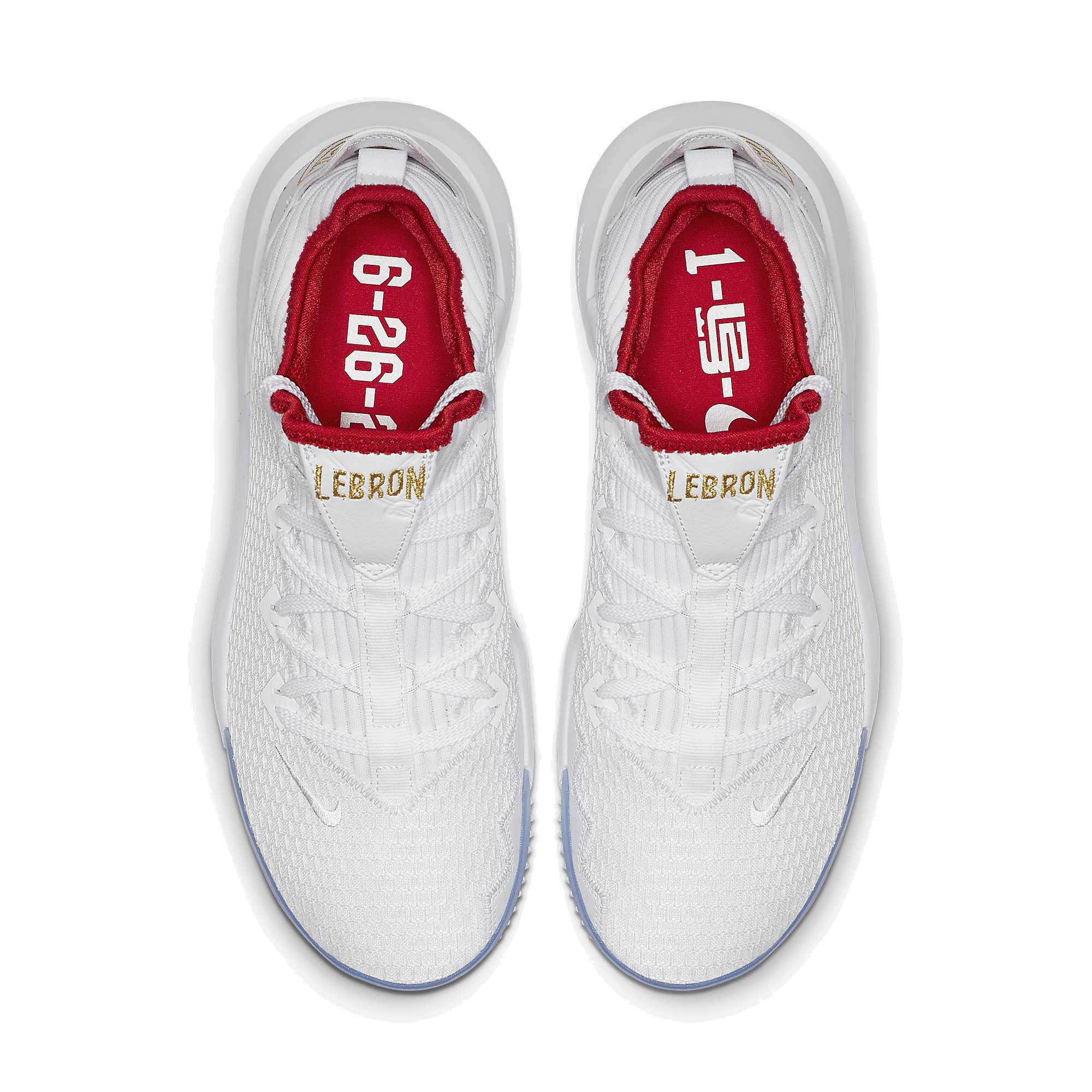 Nike LeBron James  XVI Low Erkek Basketbol Ayakkabısı