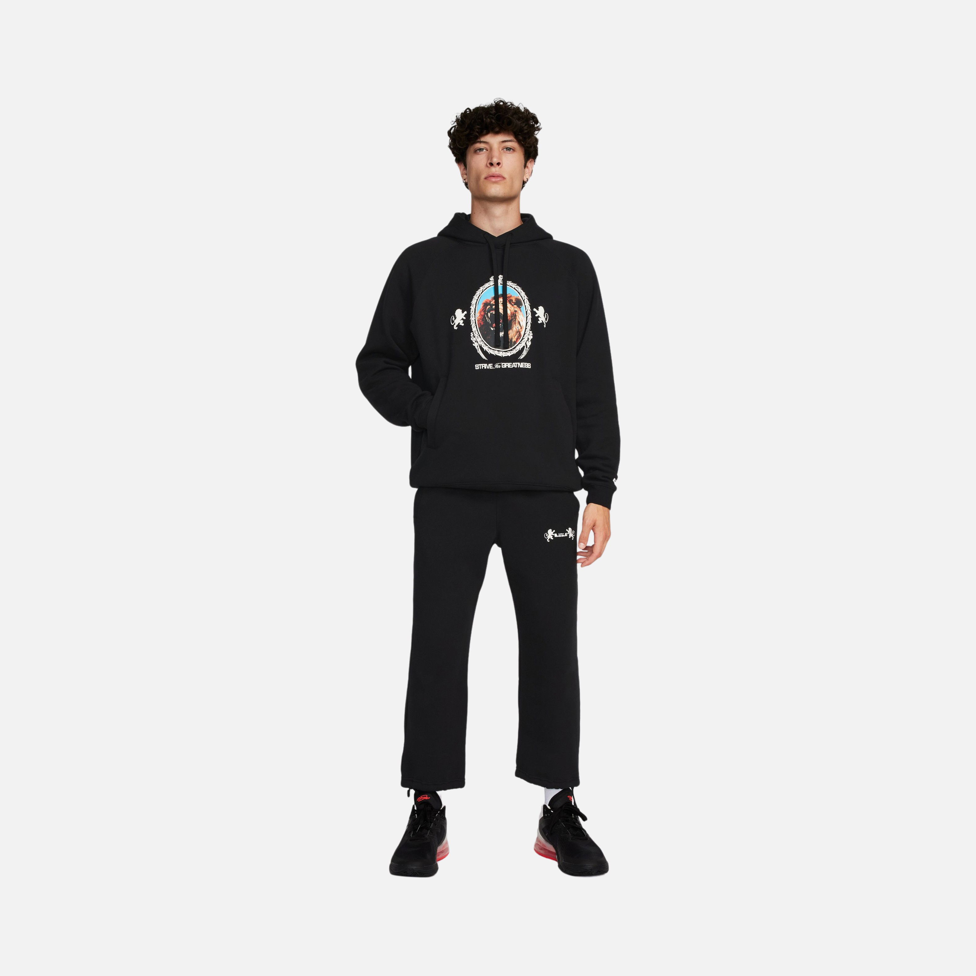 Nike LeBron James Brush Pullover Fleece Hoodie Erkek Sweatshirt