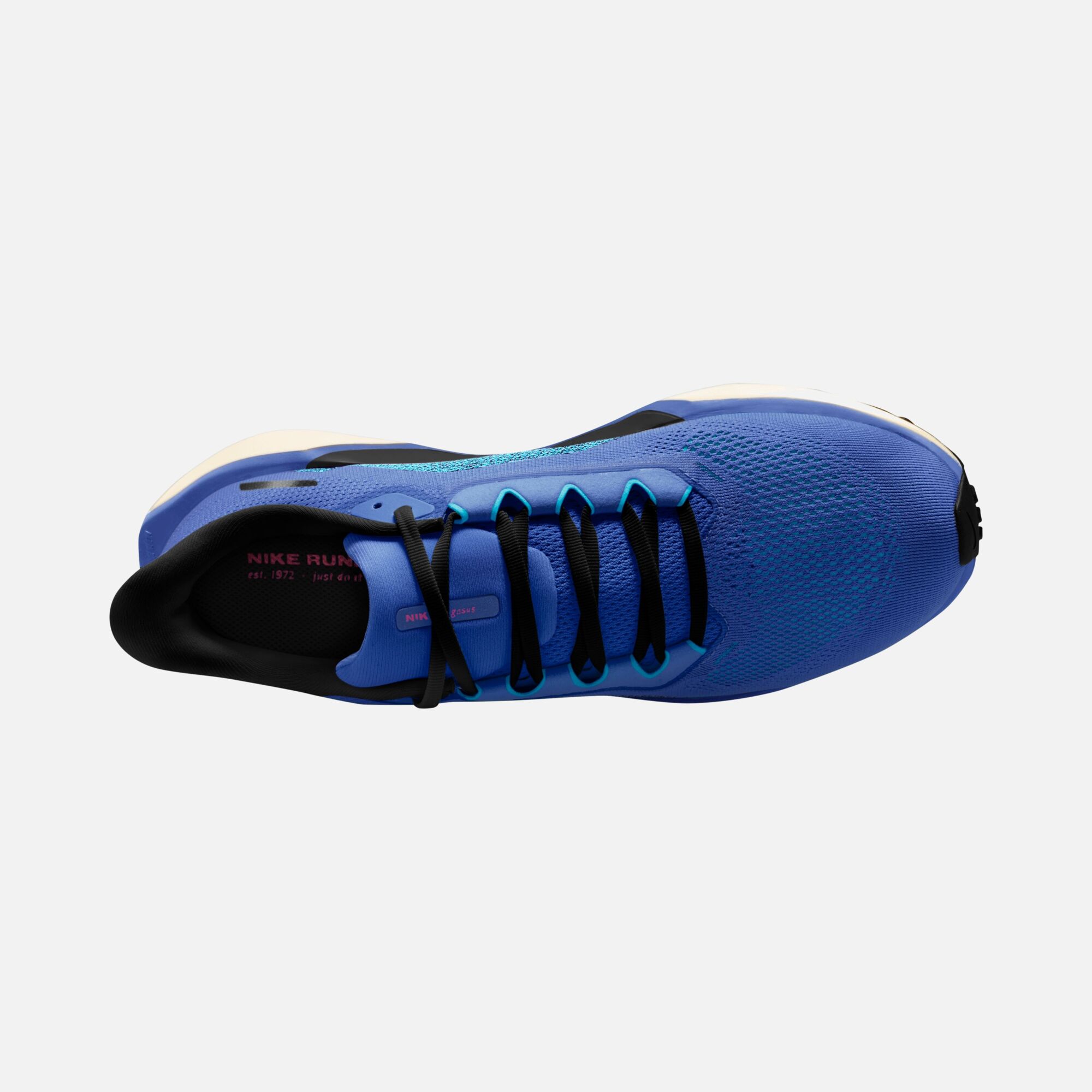 Nike Air Zoom Pegasus 41 Road Running Erkek Spor Ayakkabı