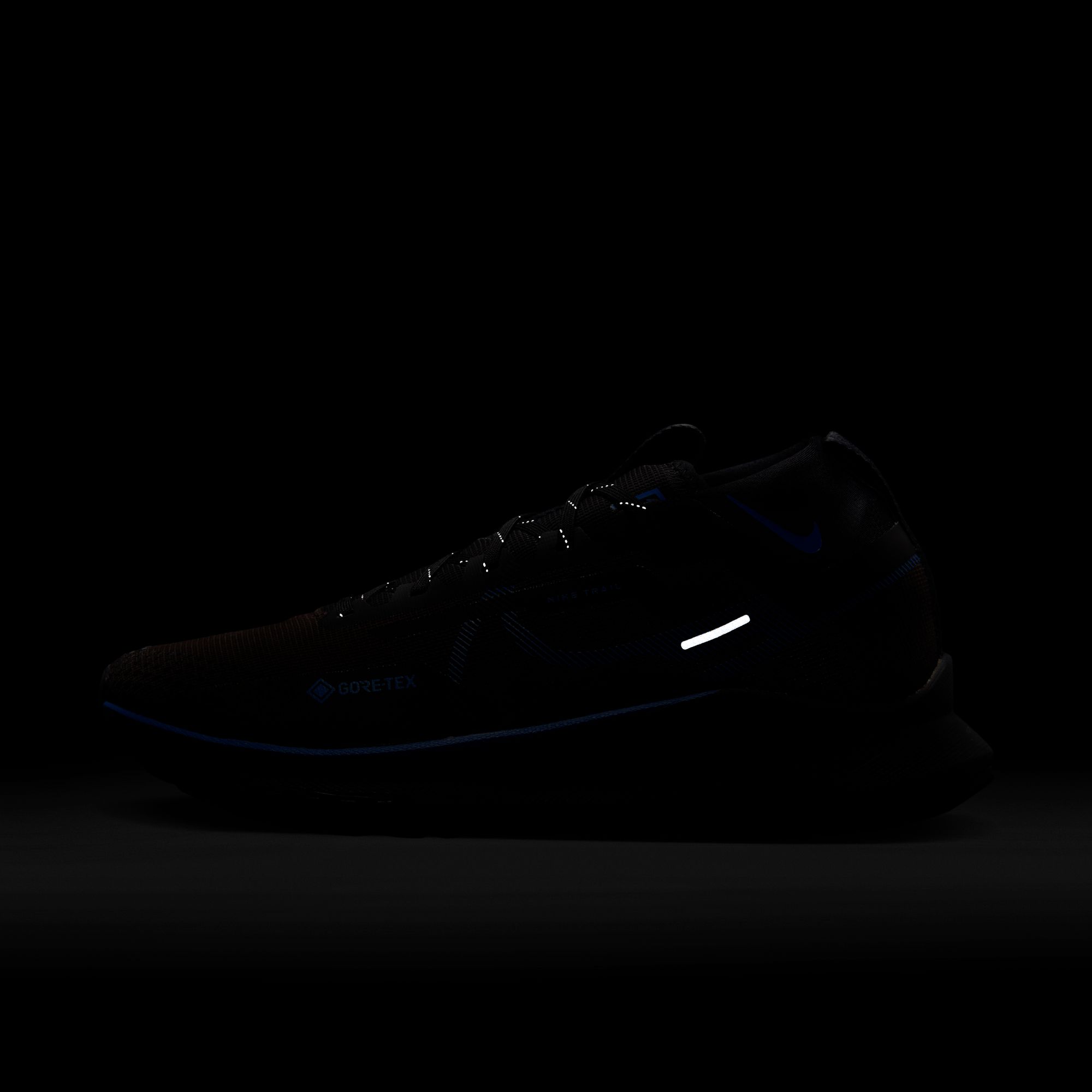 Nike React Pegasus Trail 4 Gore-Tex Road Running Erkek Spor Ayakkabı