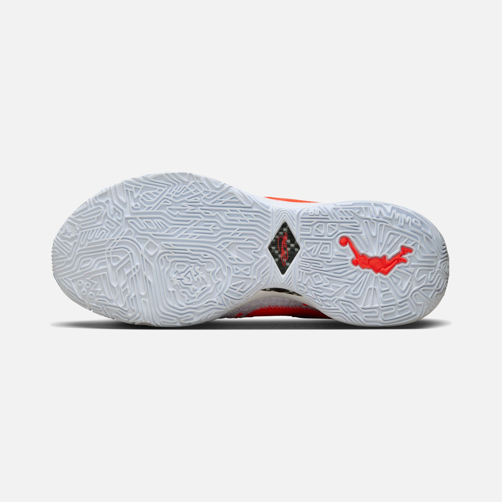 Nike LeBron XX Premium ''Flower Embroidered'' Erkek Basketbol Ayakkabısı
