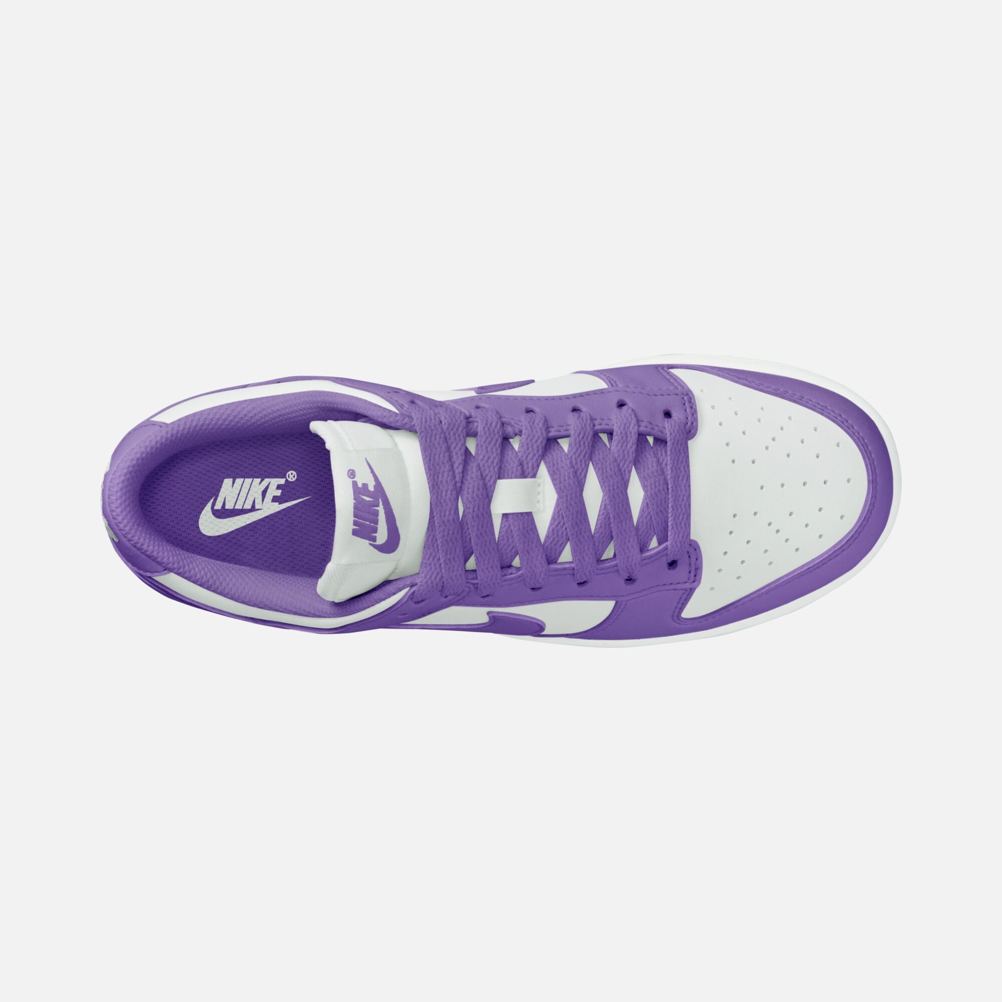 Nike Dunk Low Next Nature Kadın Spor Ayakkabı