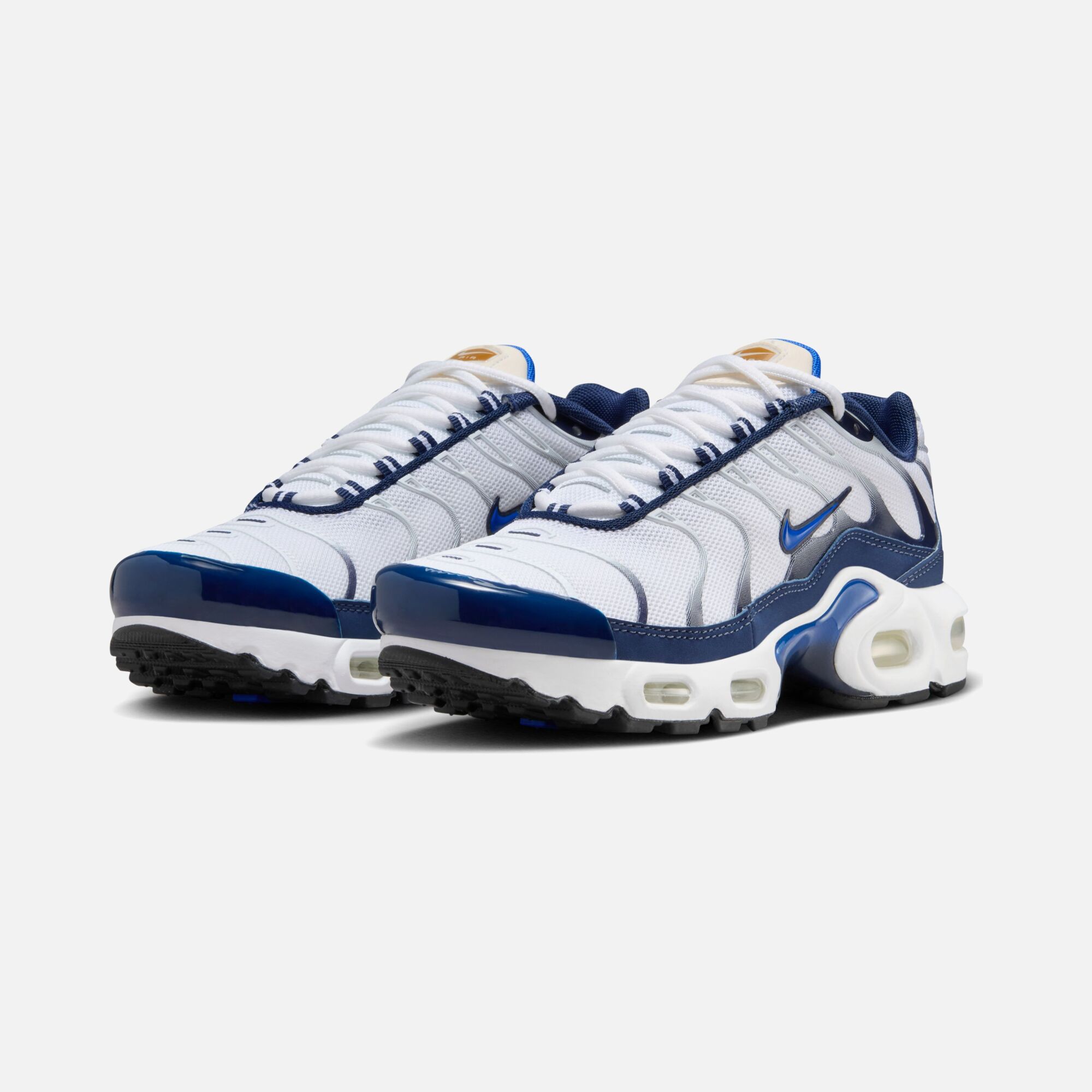 Nike Air Max Plus (GS) Spor Ayakkabı