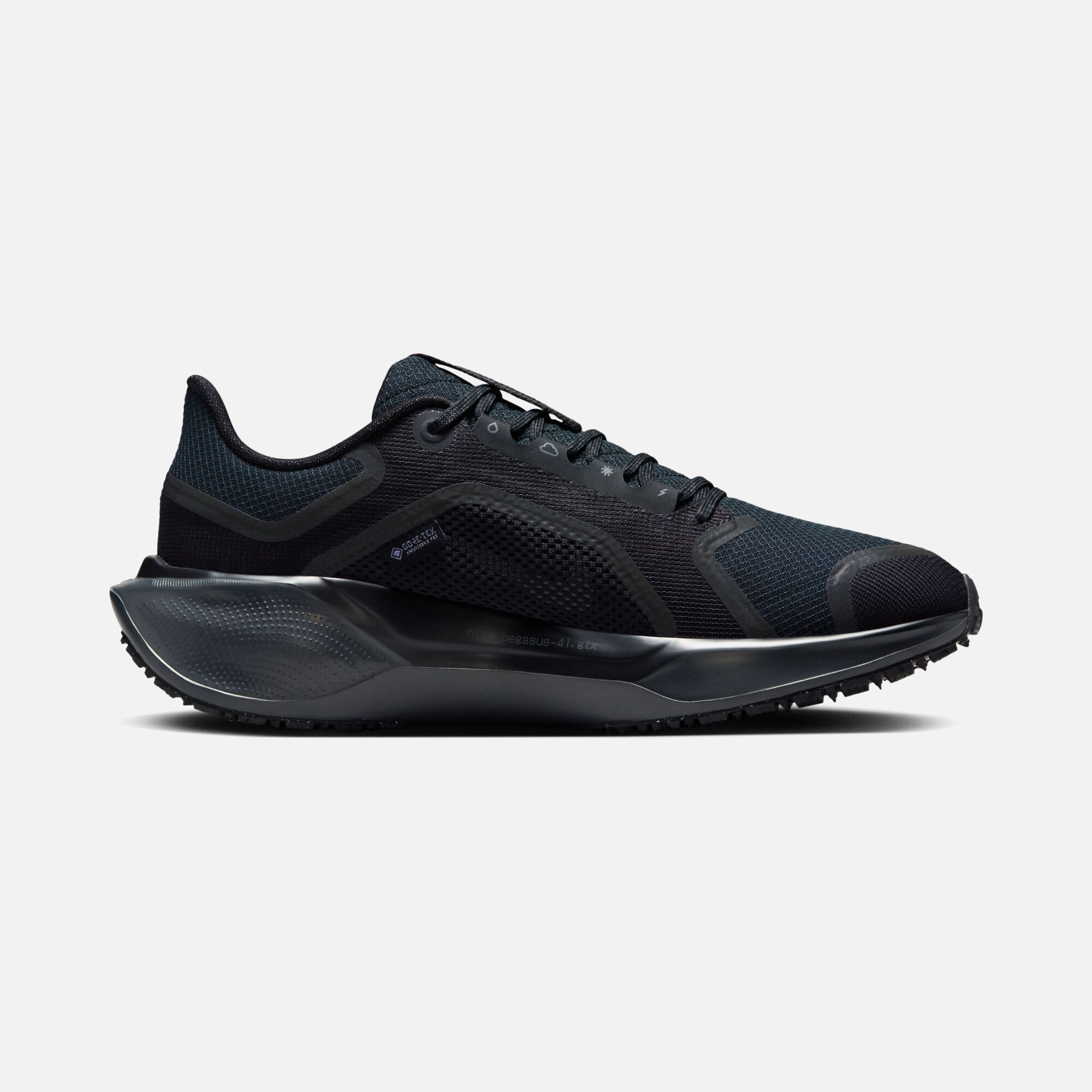 Nike Air Zoom Pegasus 41 Gore-Tex Waterproof Road Running Kadın Spor Ayakkabı
